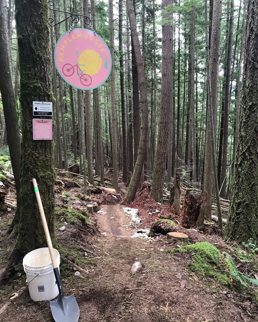 Squamish BC mountain bike trail building pamplemousse