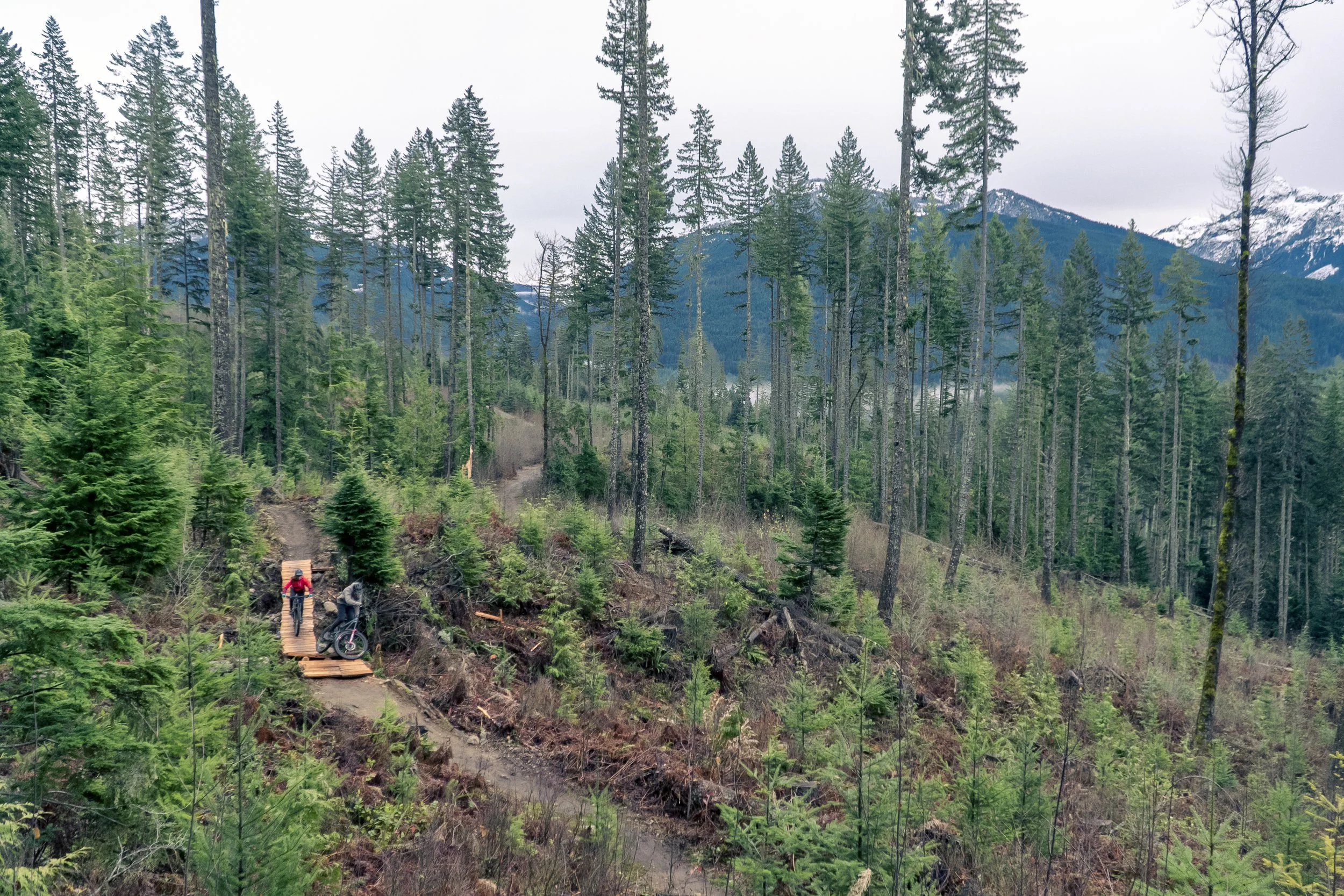 Squamish MTB trails guided ride - expert