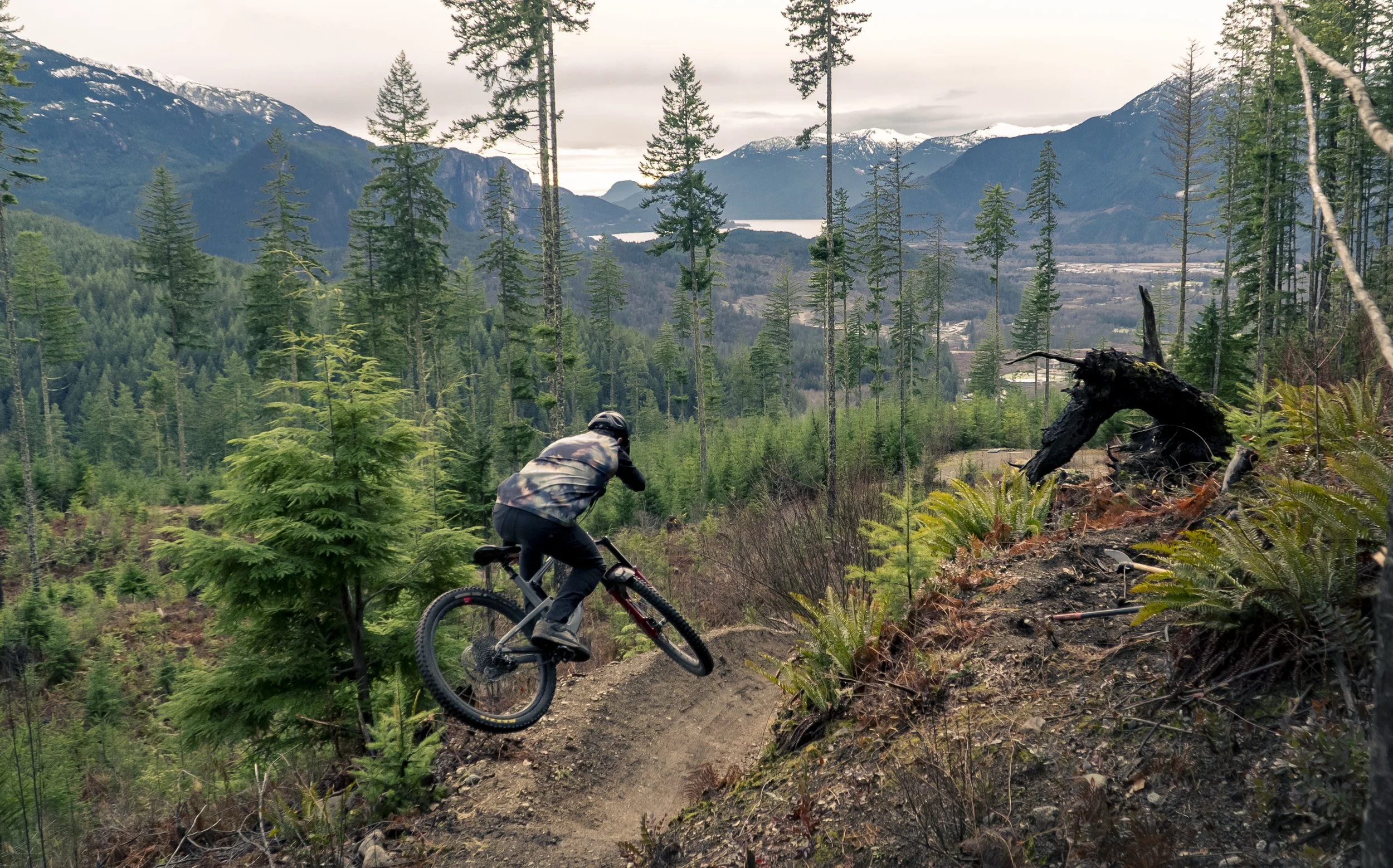 A person riding a mountain bike down a dirt trail through a forest with tall pine trees and mountain peaks in the background.