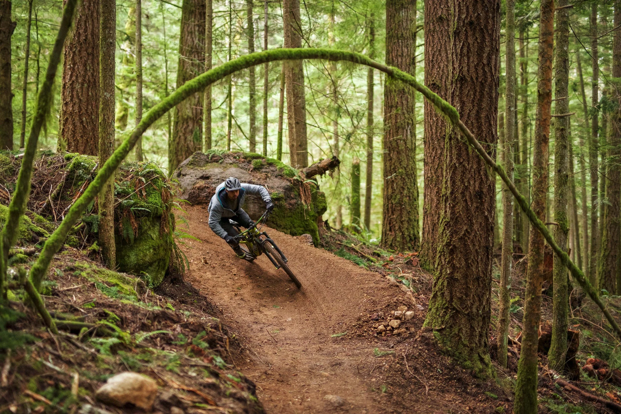 Squamish trail tour best rated