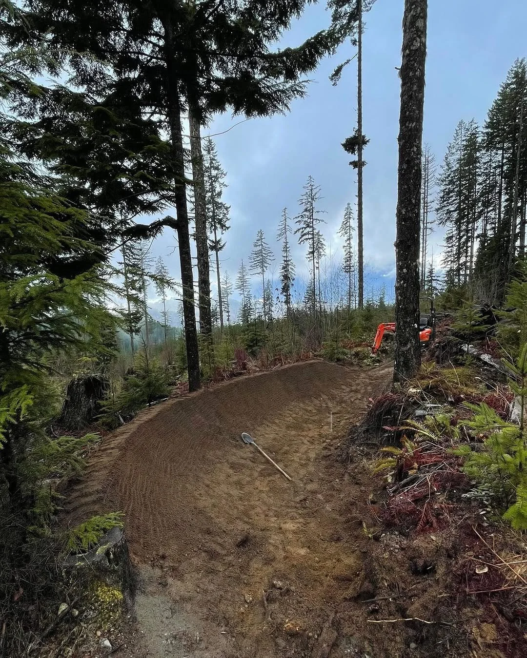 A dirt trail in a forest under a cloudy sky, with a small excavator visible on the right side.