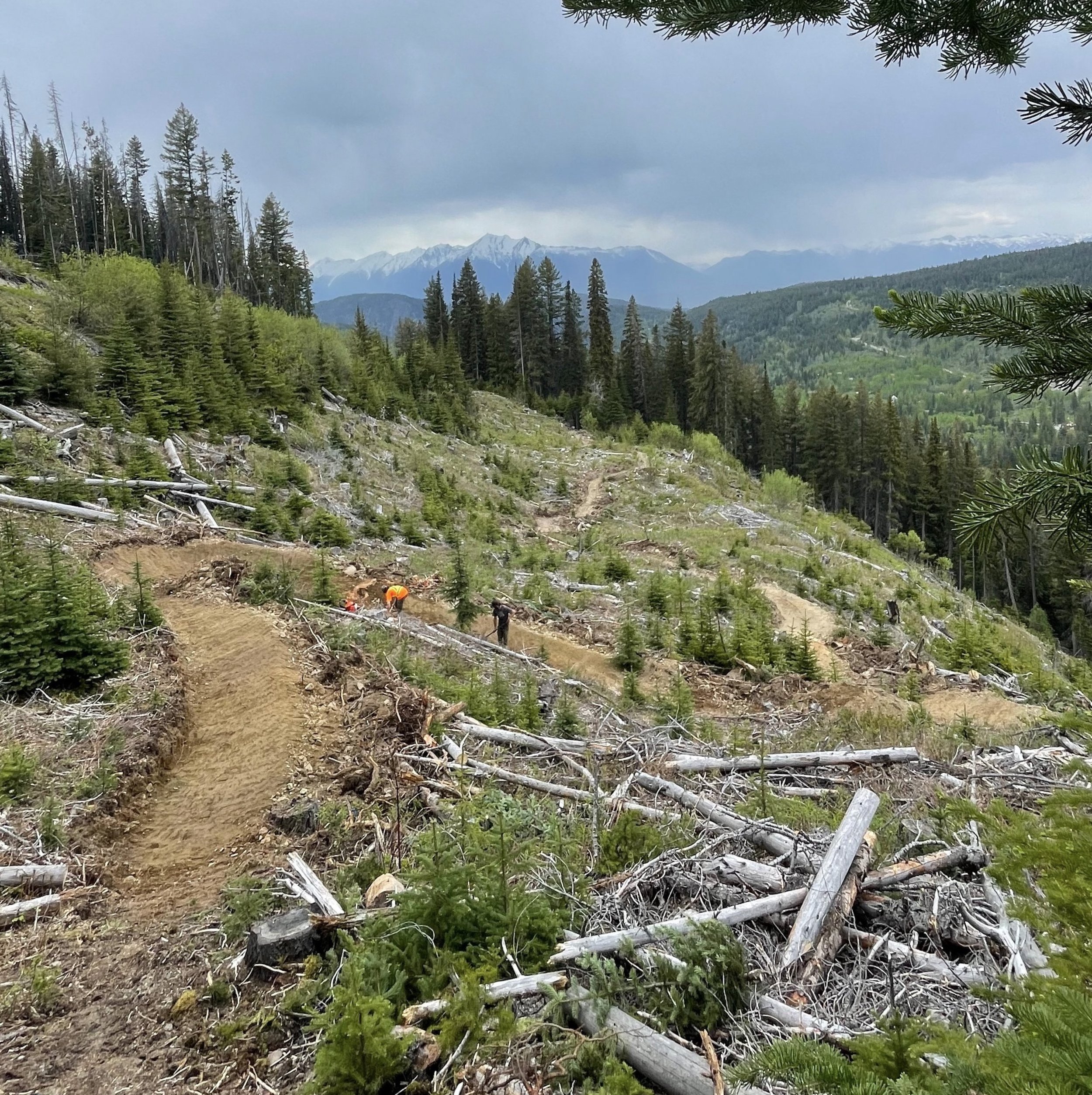 Mountain trail with fallen trees and workers in orange safety vests in a forested area, with mountains in the background and overcast sky.