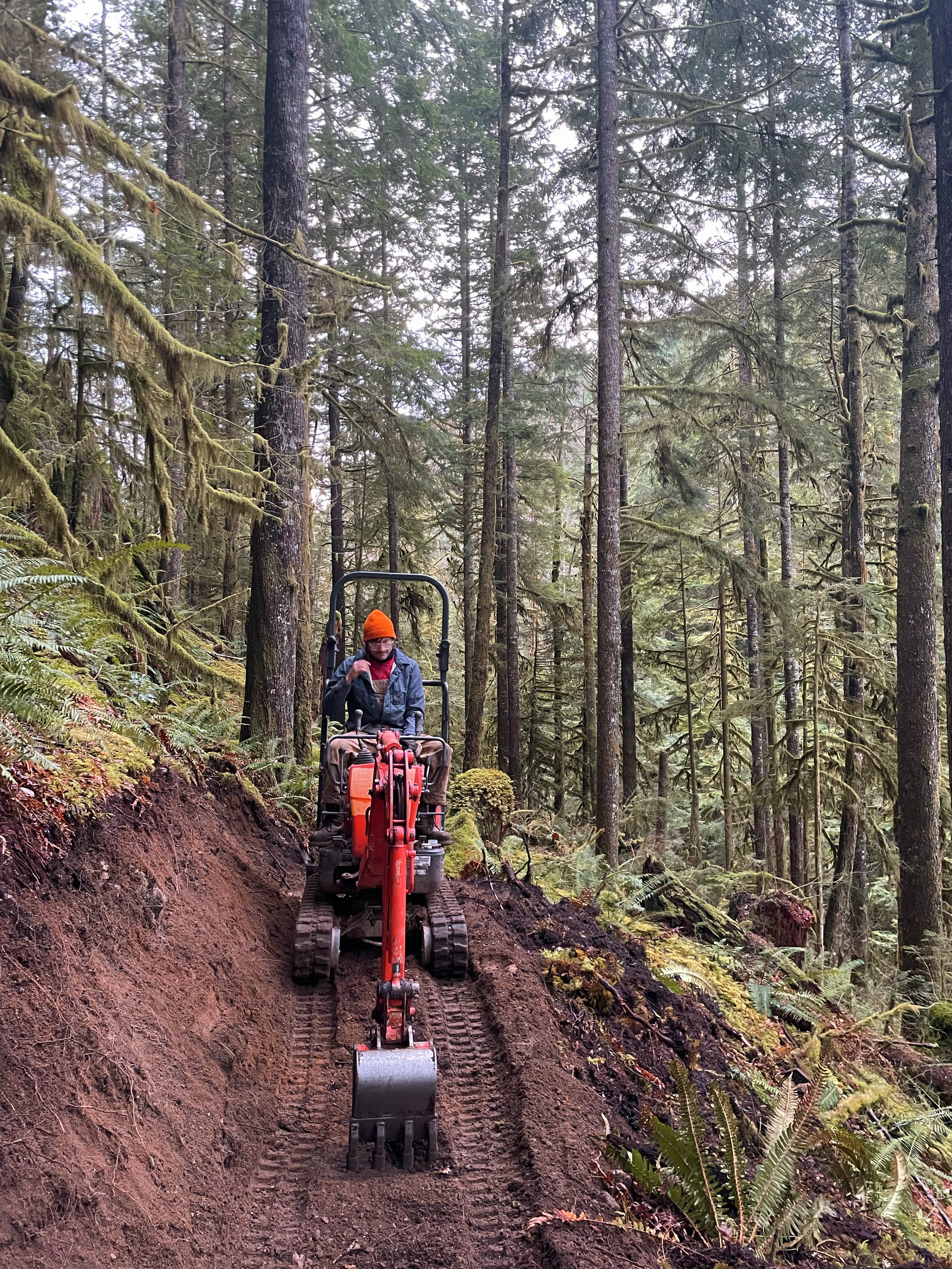 A person operating a small red track loader moving dirt along a forest trail surrounded by tall trees and green moss.