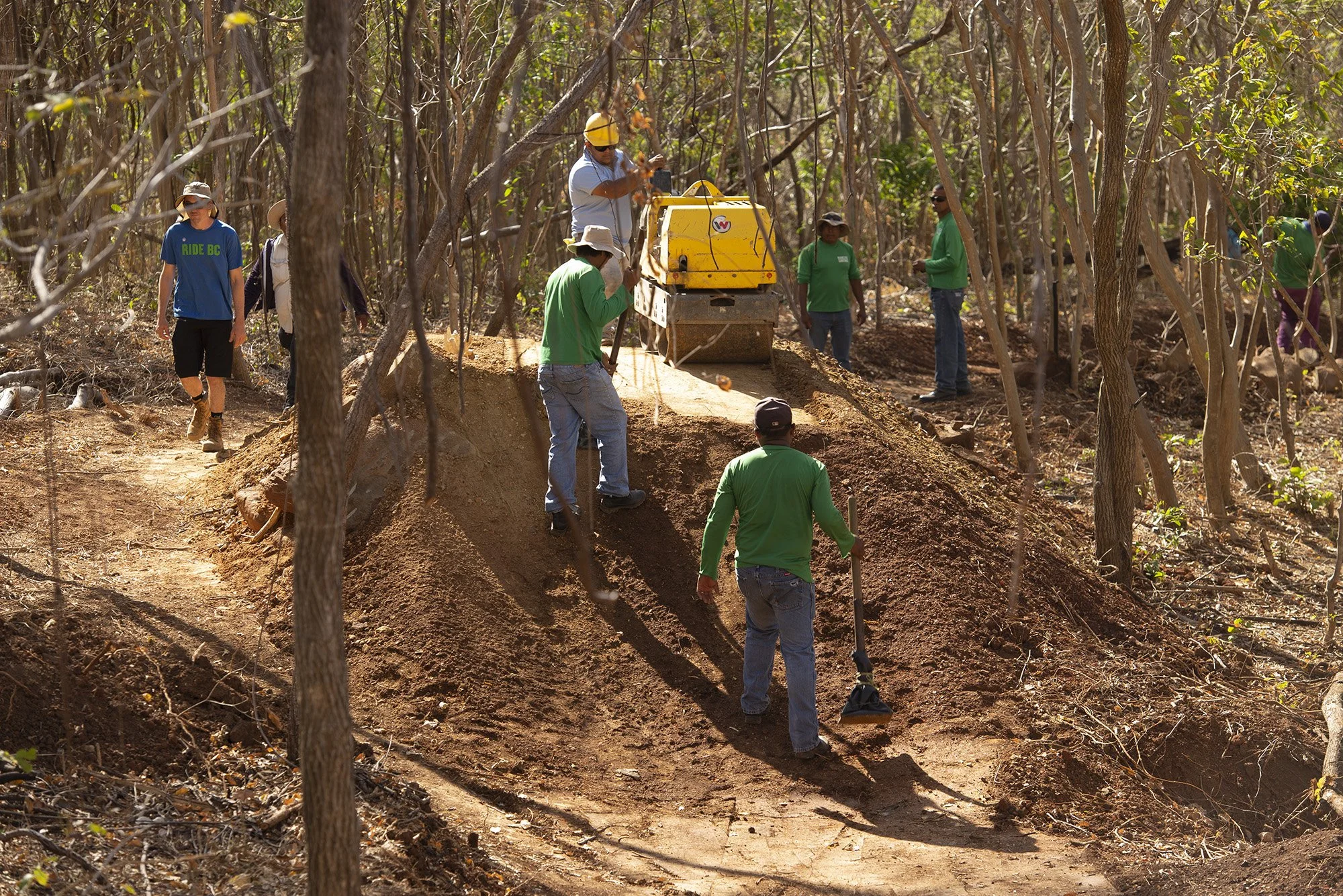 Group of people working with heavy equipment in a forest, clearing a path or trail.