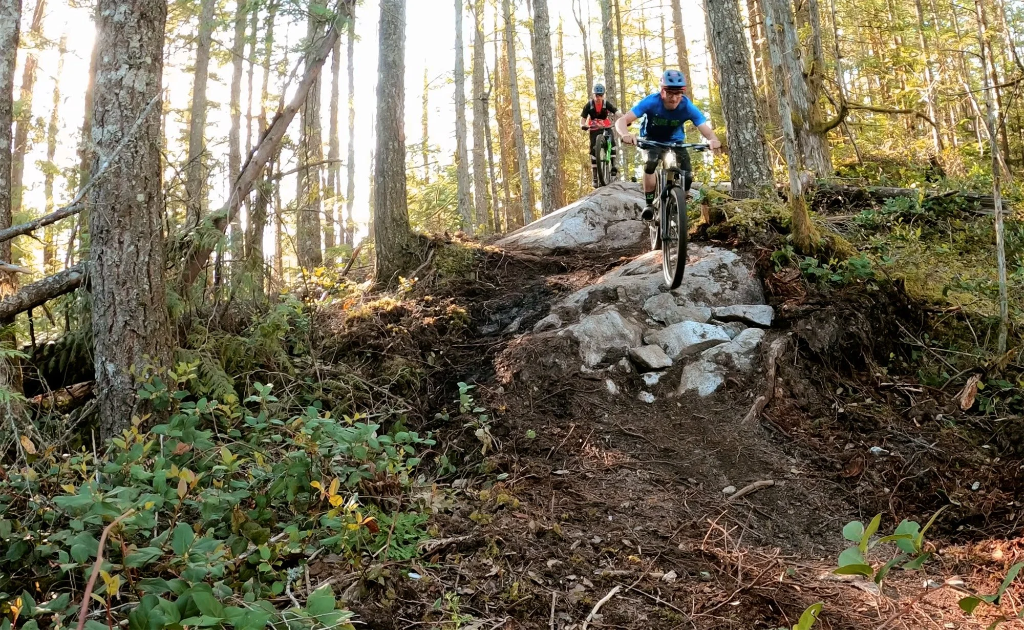 Two mountain bikers riding on a rocky trail through a dense forest with tall trees and sunlight filtering through the leaves.