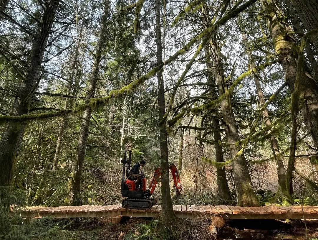 A person operating a small red excavator on a wooden bridge in a dense forest.