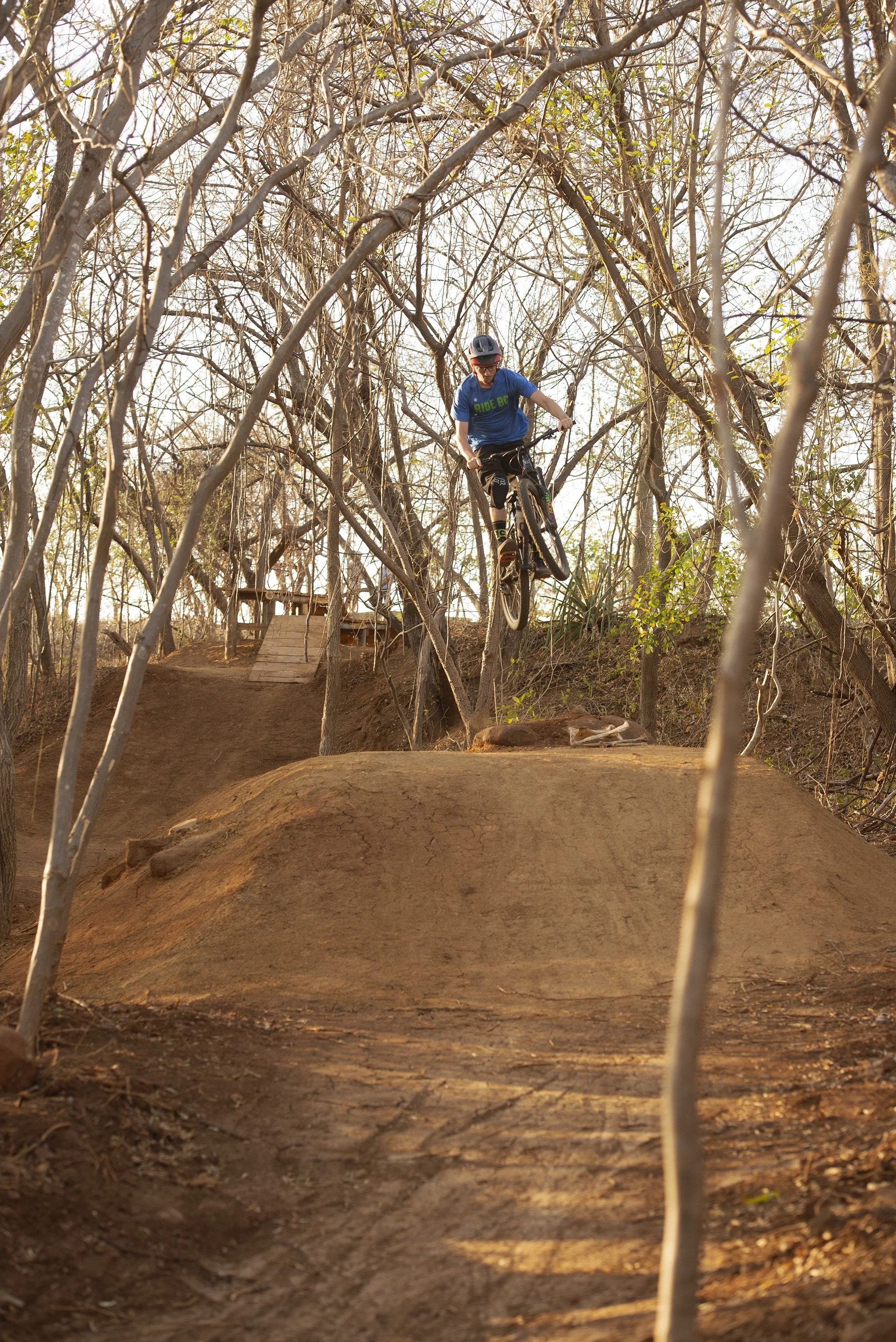 A mountain biker wearing a helmet and blue shirt riding down a dirt trail through a dry, leafless forest with wooden ramps.