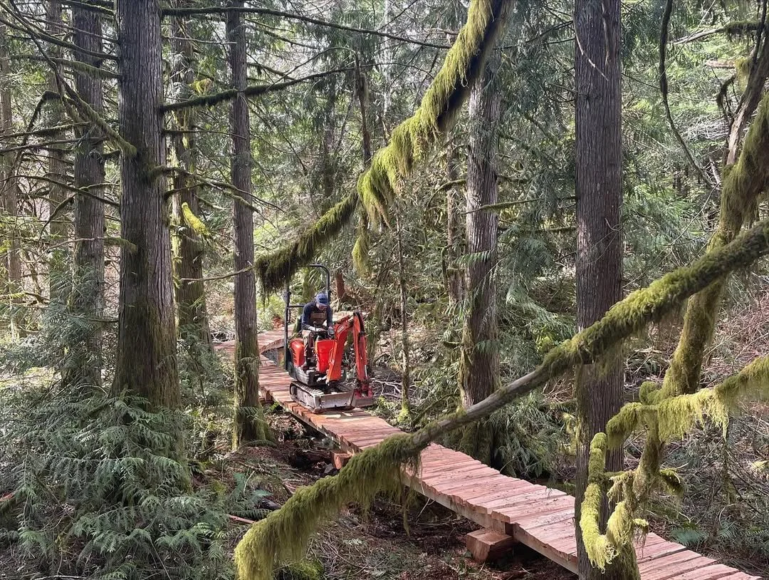 A small orange excavator is working on a narrow wooden plank bridge in a lush green forest with tall trees and moss-covered branches.