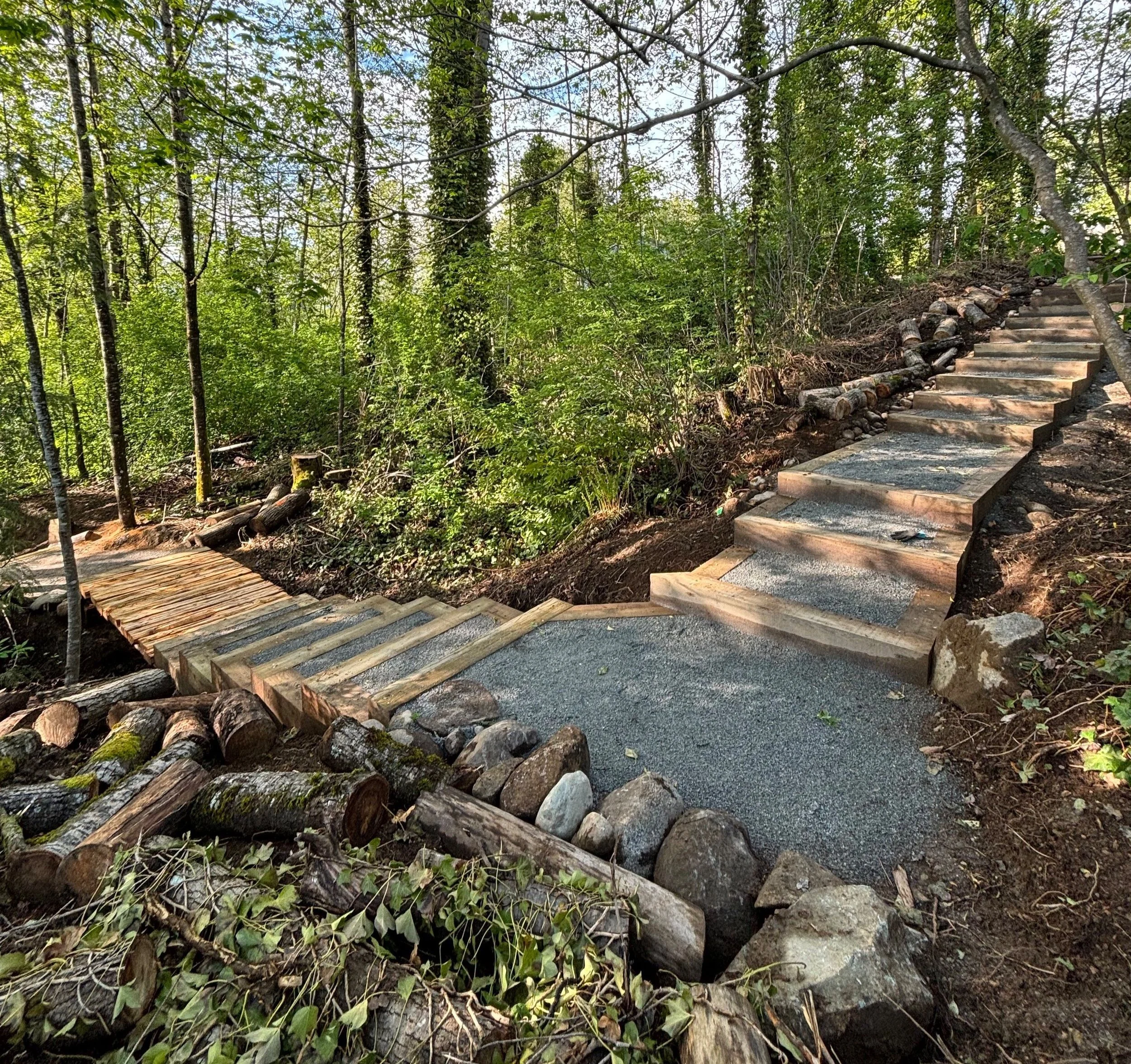 Wooden steps on a trail in a forest, with rocks and green foliage surrounding them.