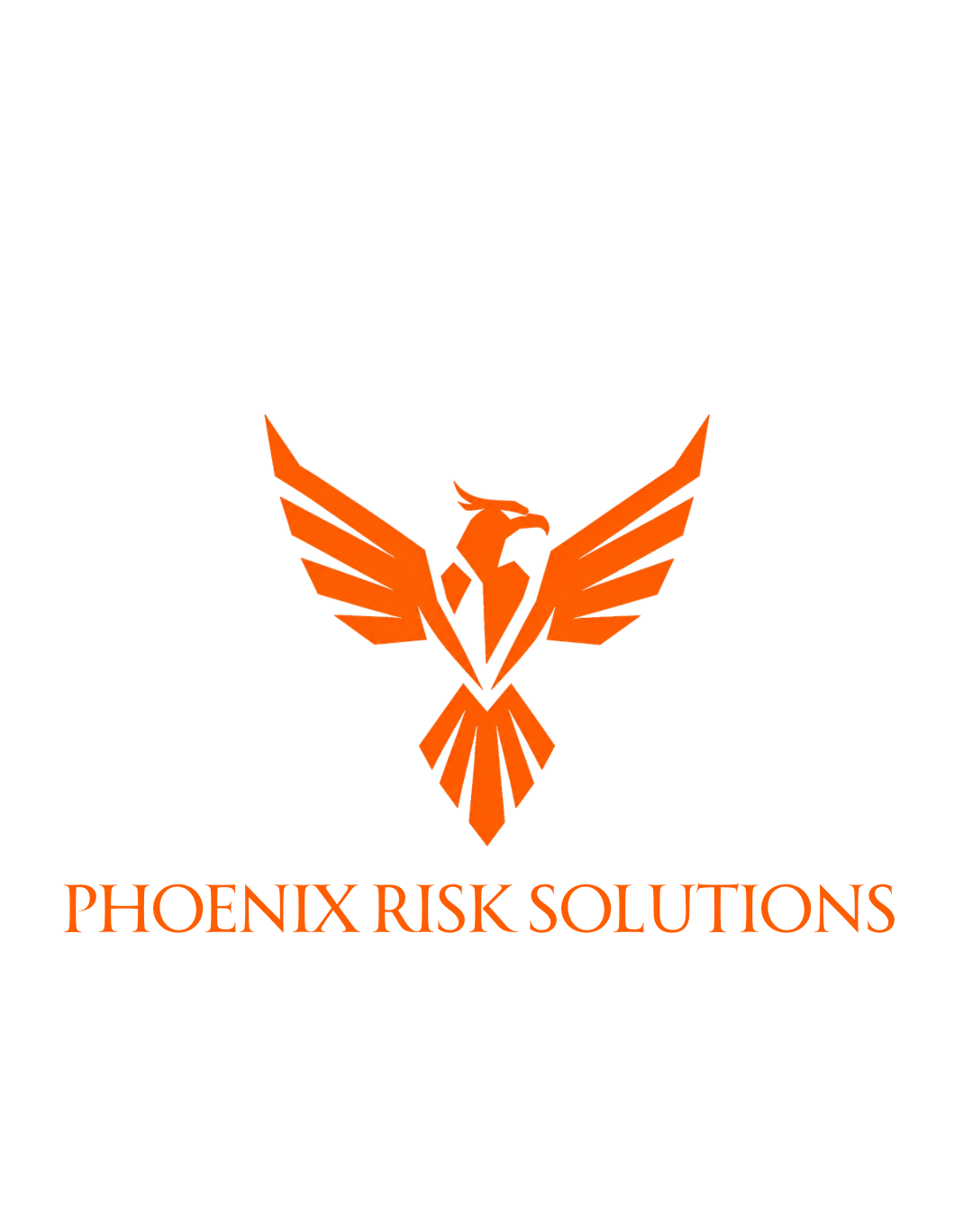 Phoenix Risk Solutions