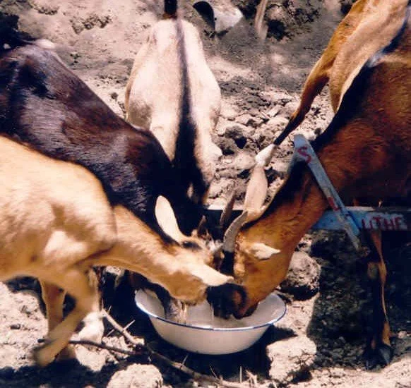 A memory and a manger.