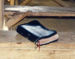 In HIS Word.