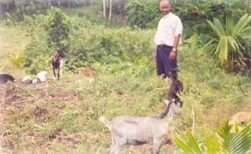 The Good Shepherd.