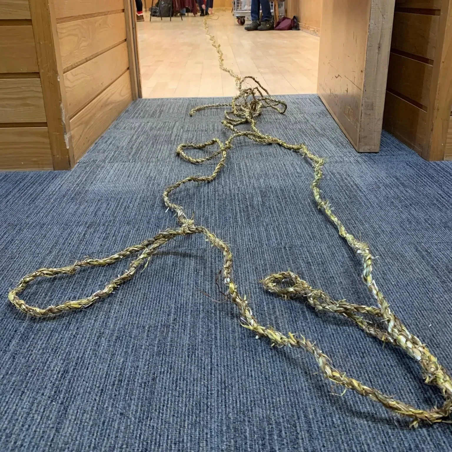 A long twisted piece of rope or vine sprawled on a gray carpet in a doorway, with a wooden interior on either side and a bright room with people and shoes in the background.