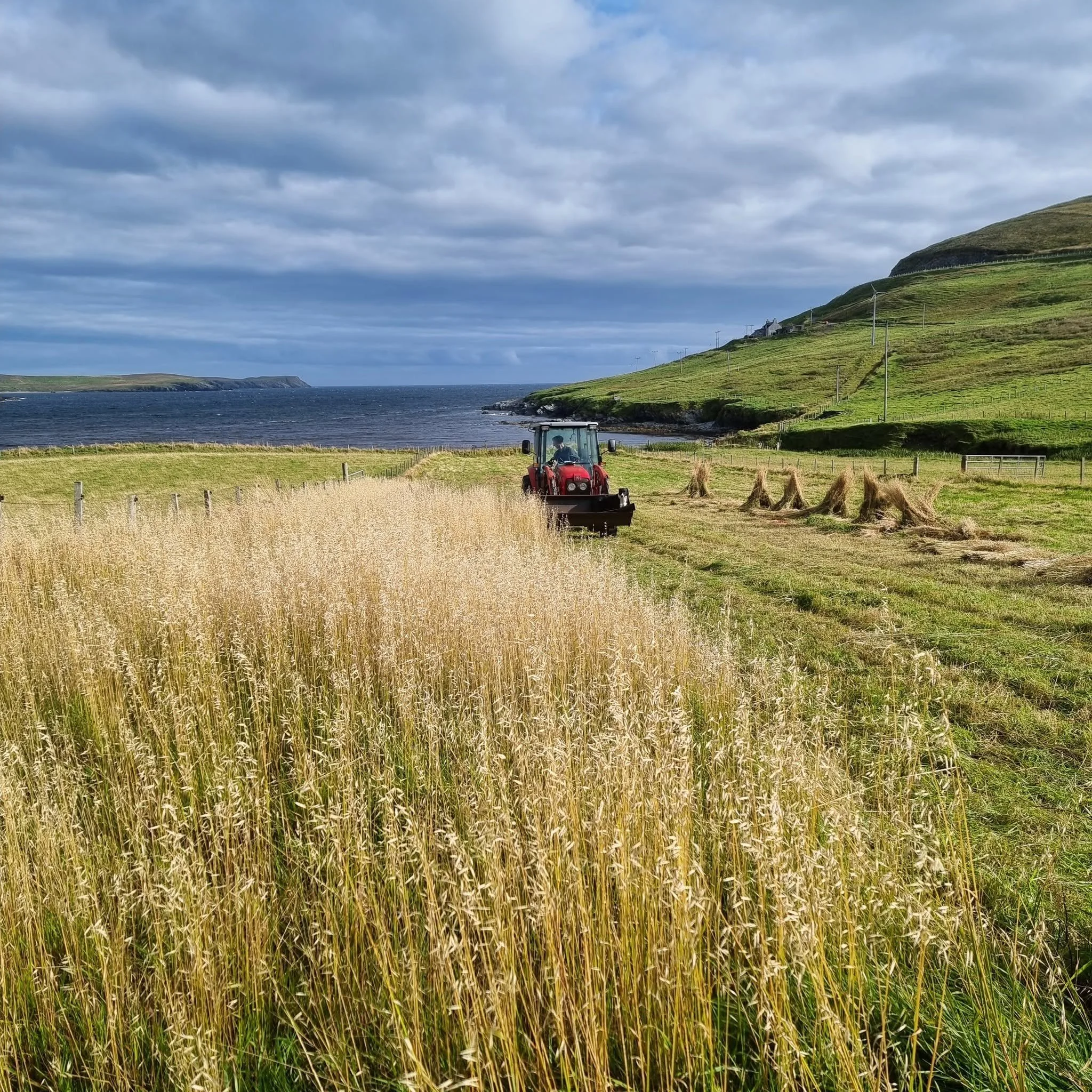 Crofting Matters Podcast