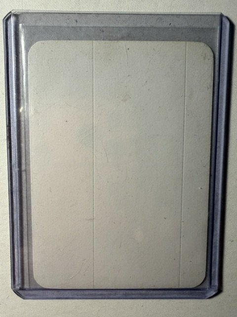 IMG_2849.jpeg