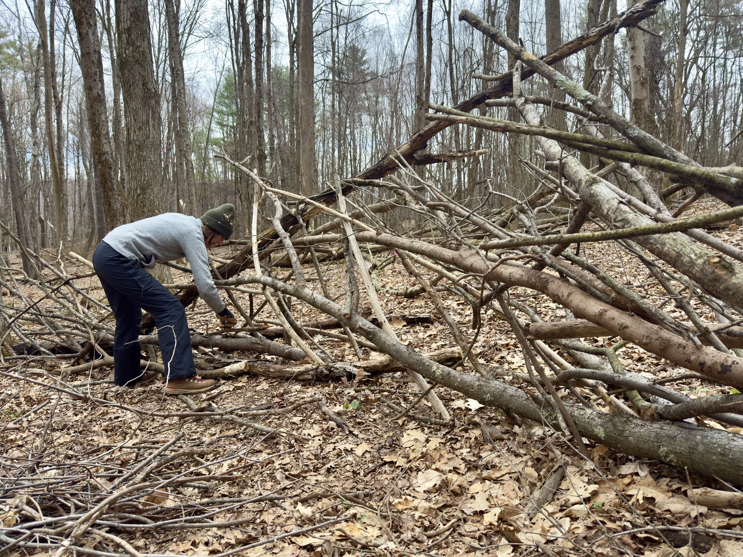 Installation: The Classroom of Natural Intelligence