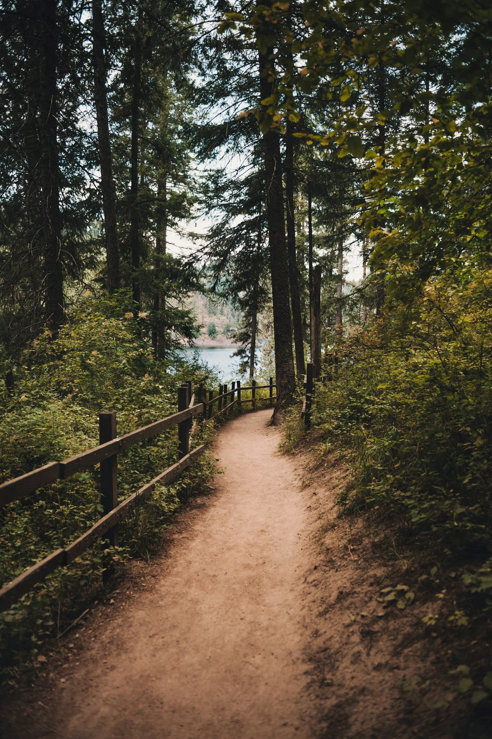 A dirt trail in a dense forest with trees and greenery on both sides. A wooden fence runs along the left side of the path. In the background, a body of water is visible through the trees, under a partly cloudy sky.