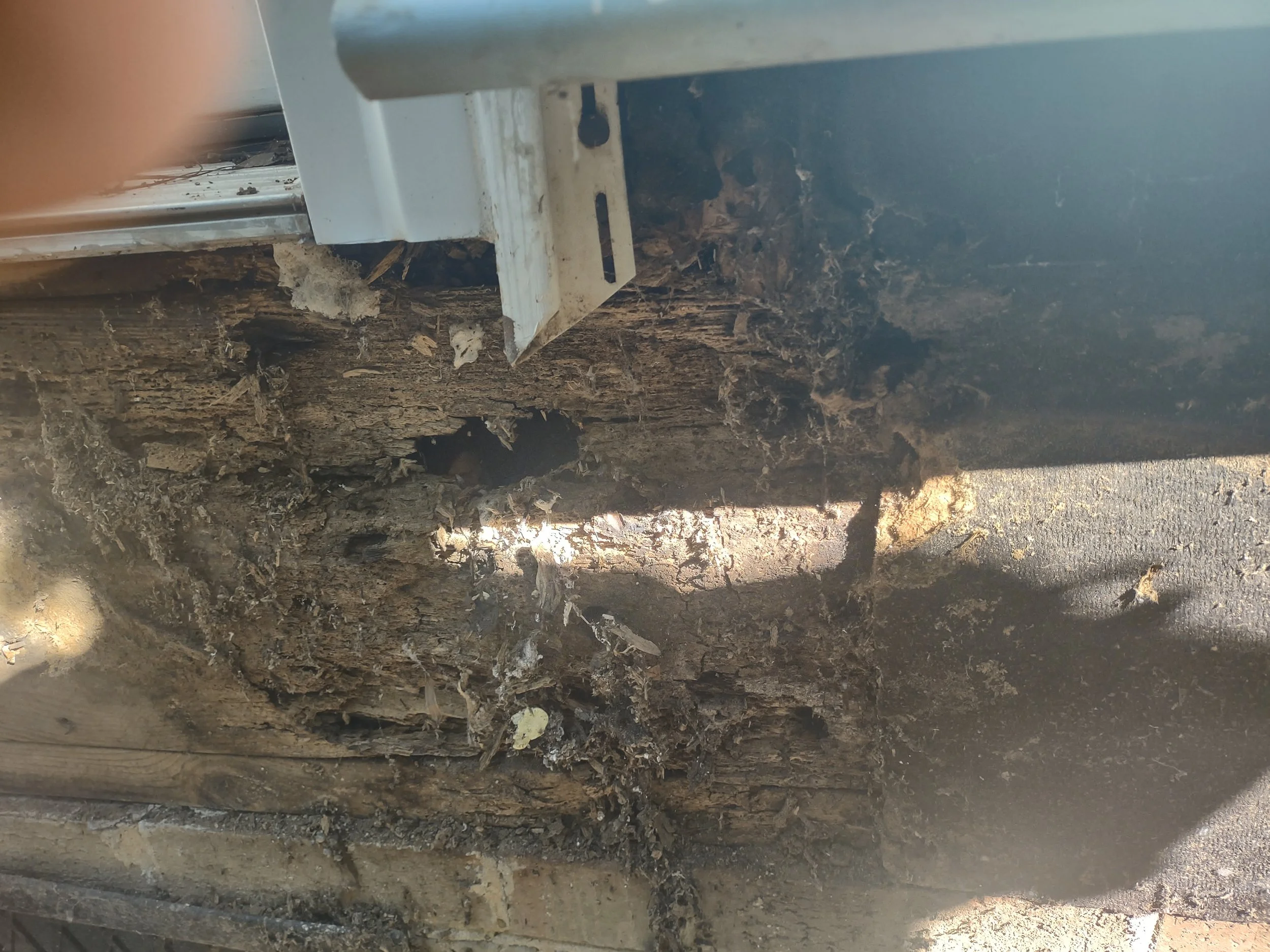Severe band joist rot discovered behind the old deck ledger and under the door. This is a typical place for this type of damage to occur.