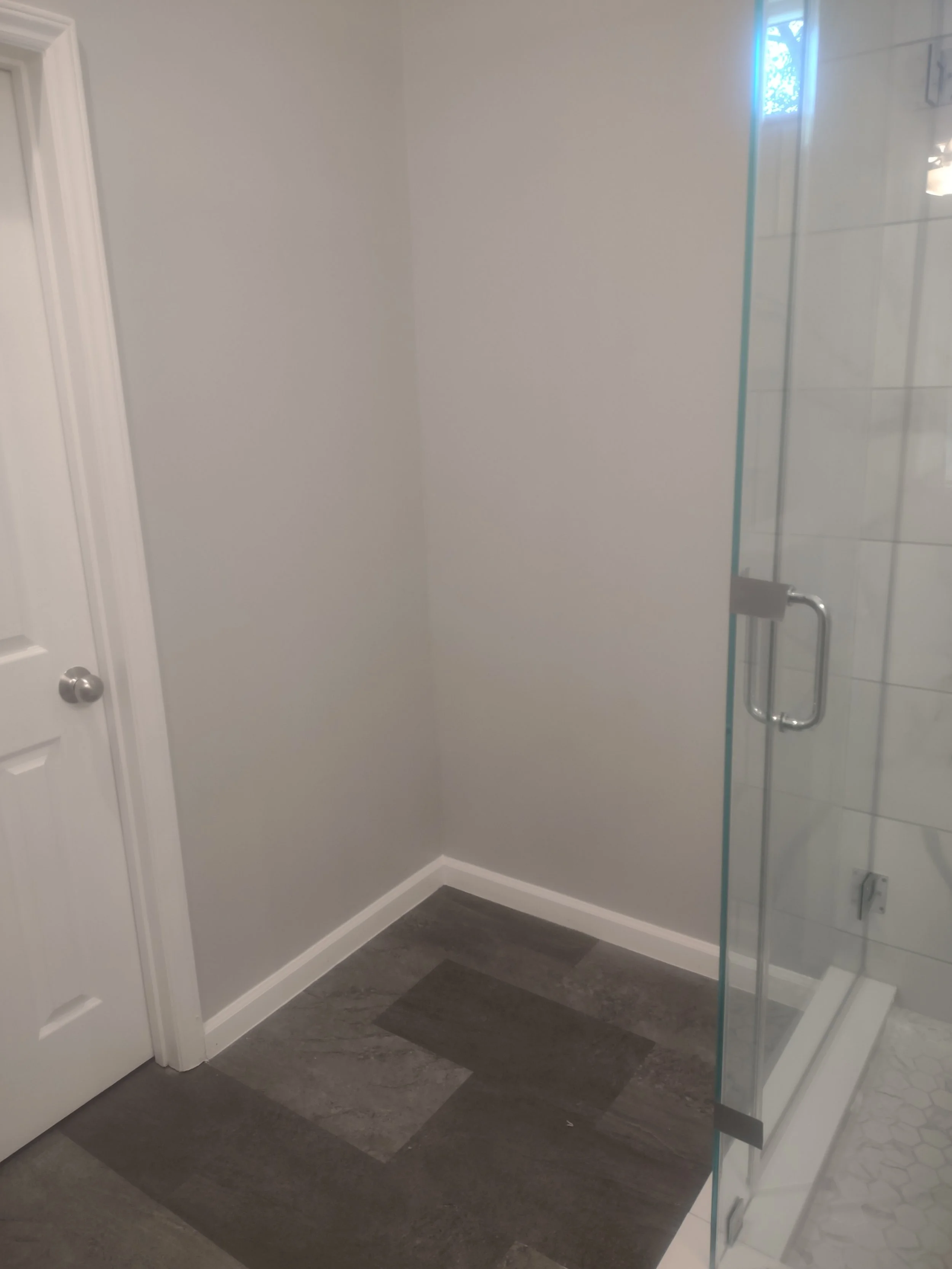 Master Bath remodel for space and ergonomics