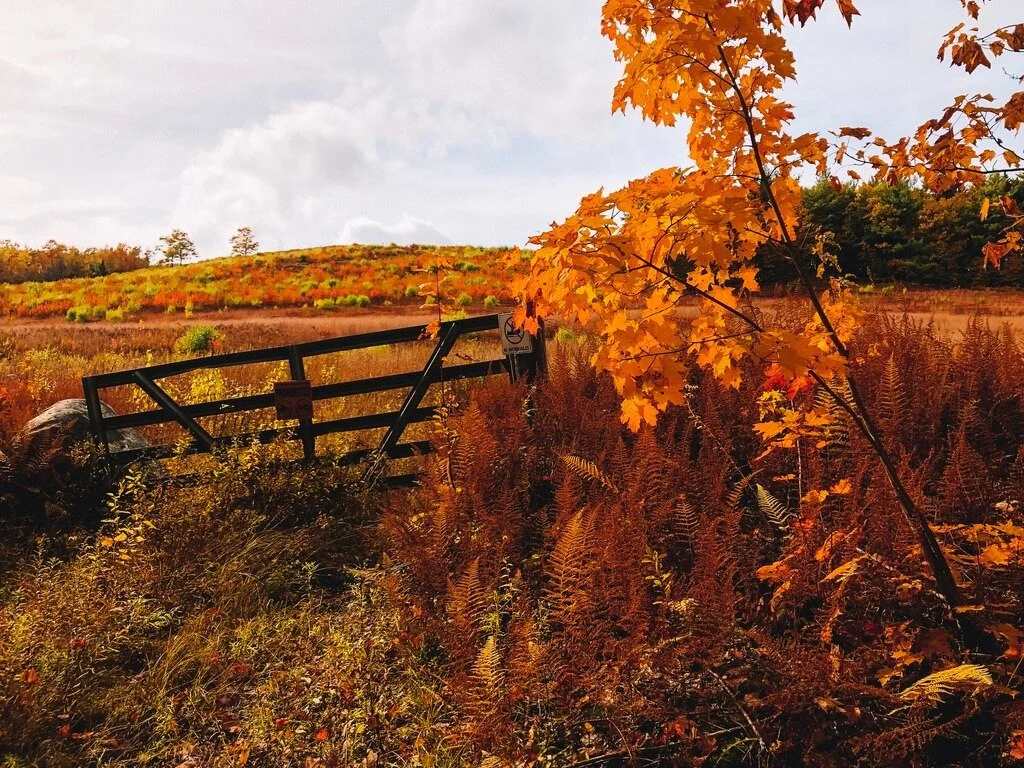  Foss Mountain, Eaton, New Hampshire. 2019.   
