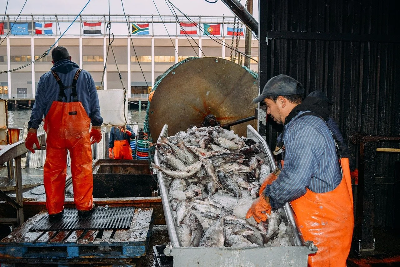  A fisherman sorting through the day’s catch on Boston’s Pier 1. The Seaport has evolved tremendously over the last 20 years, and Pier 1 is the last remaining fishing spot in the area. 