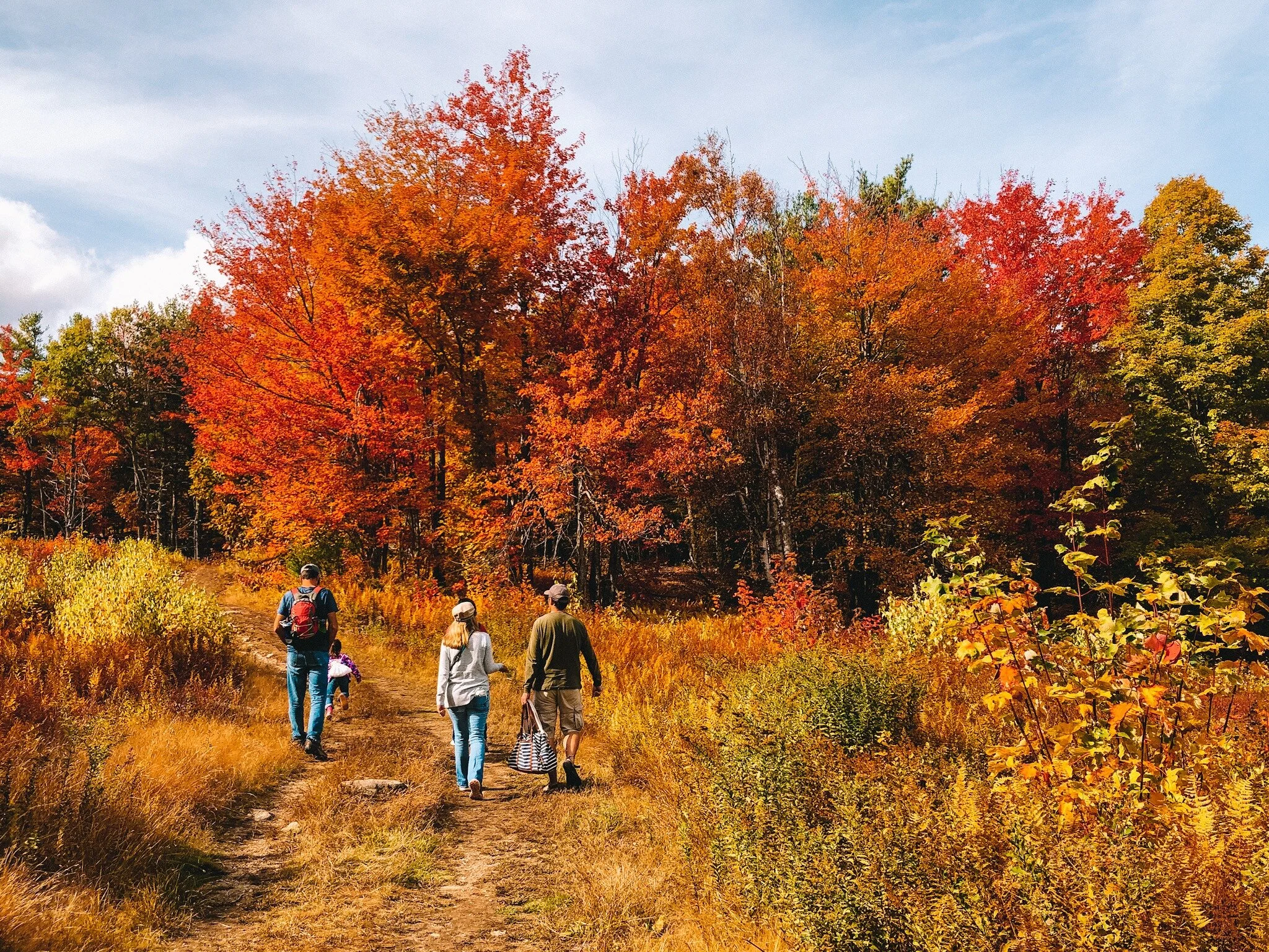  Foss Mountain, Eaton, New Hampshire. 2019.   