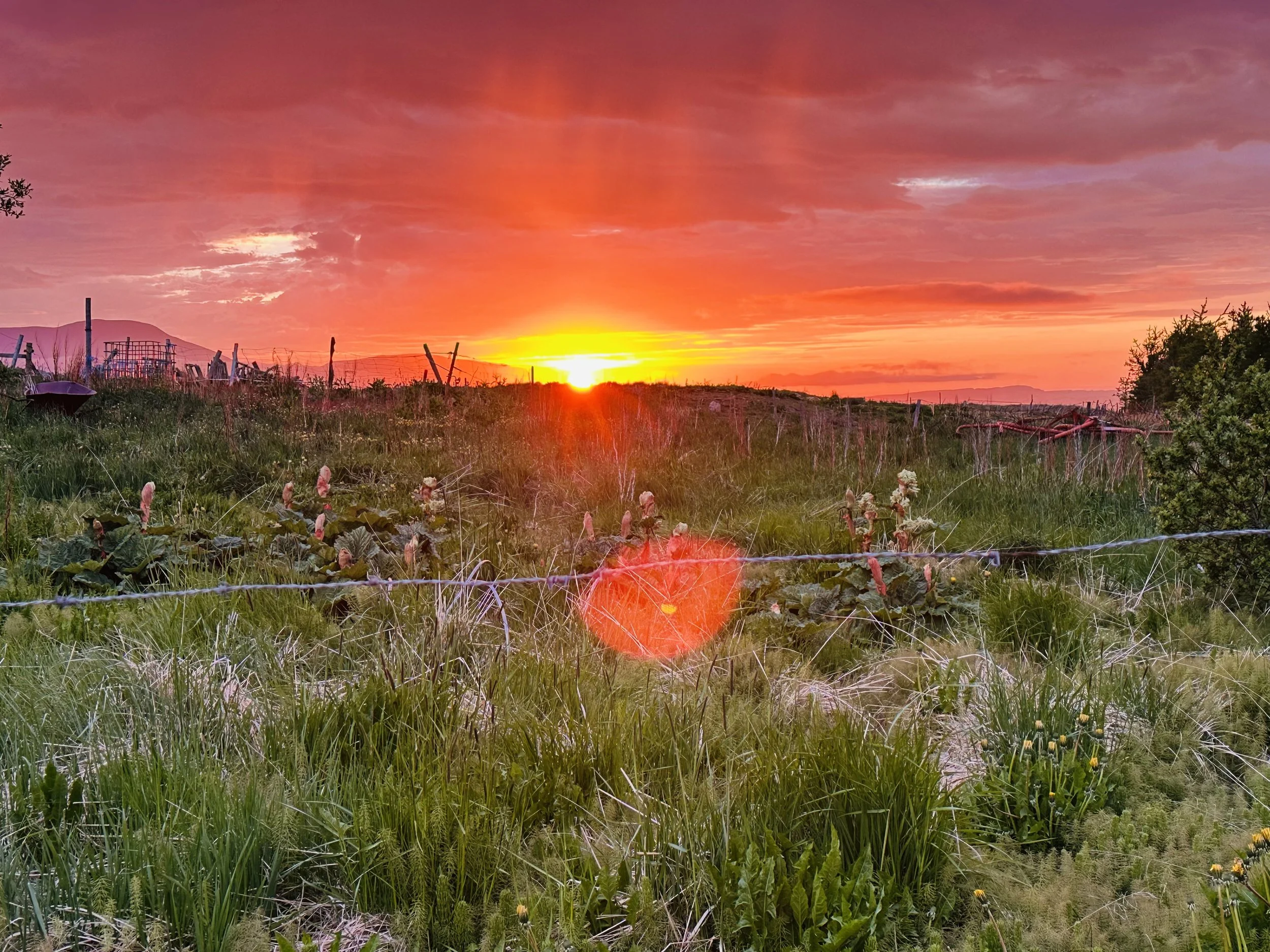 iceland midnight sun