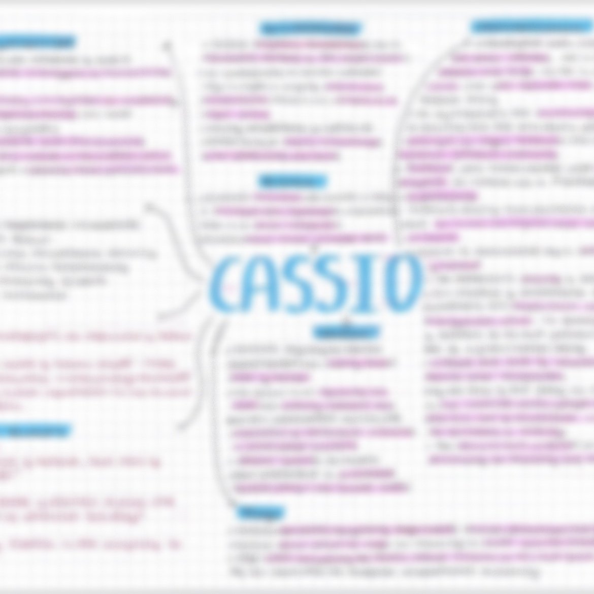 Othello revision sheets