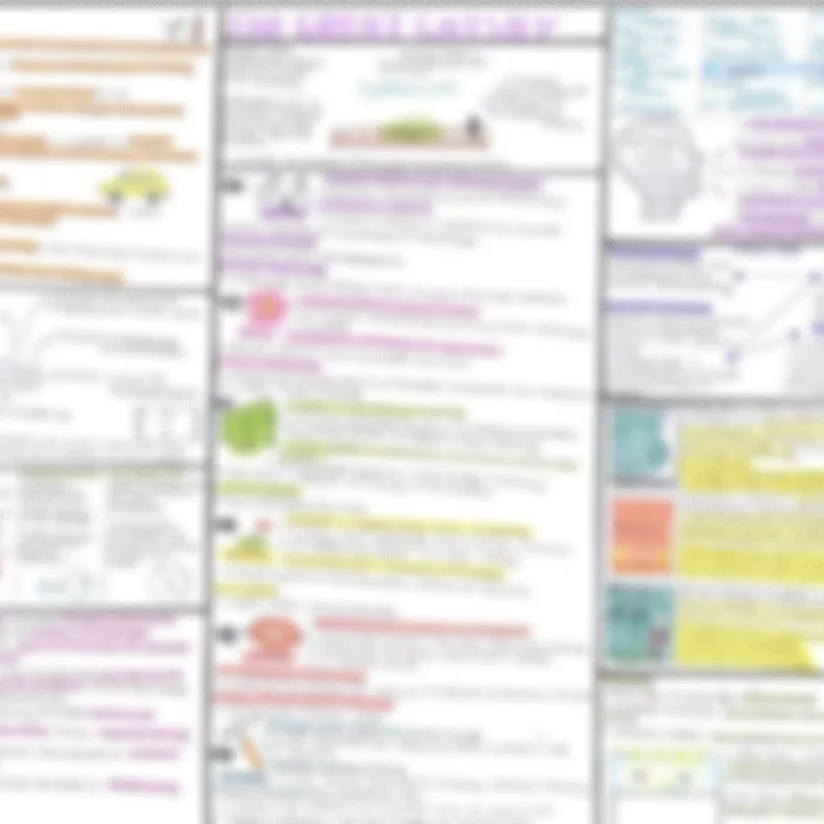 A3 Revision posters