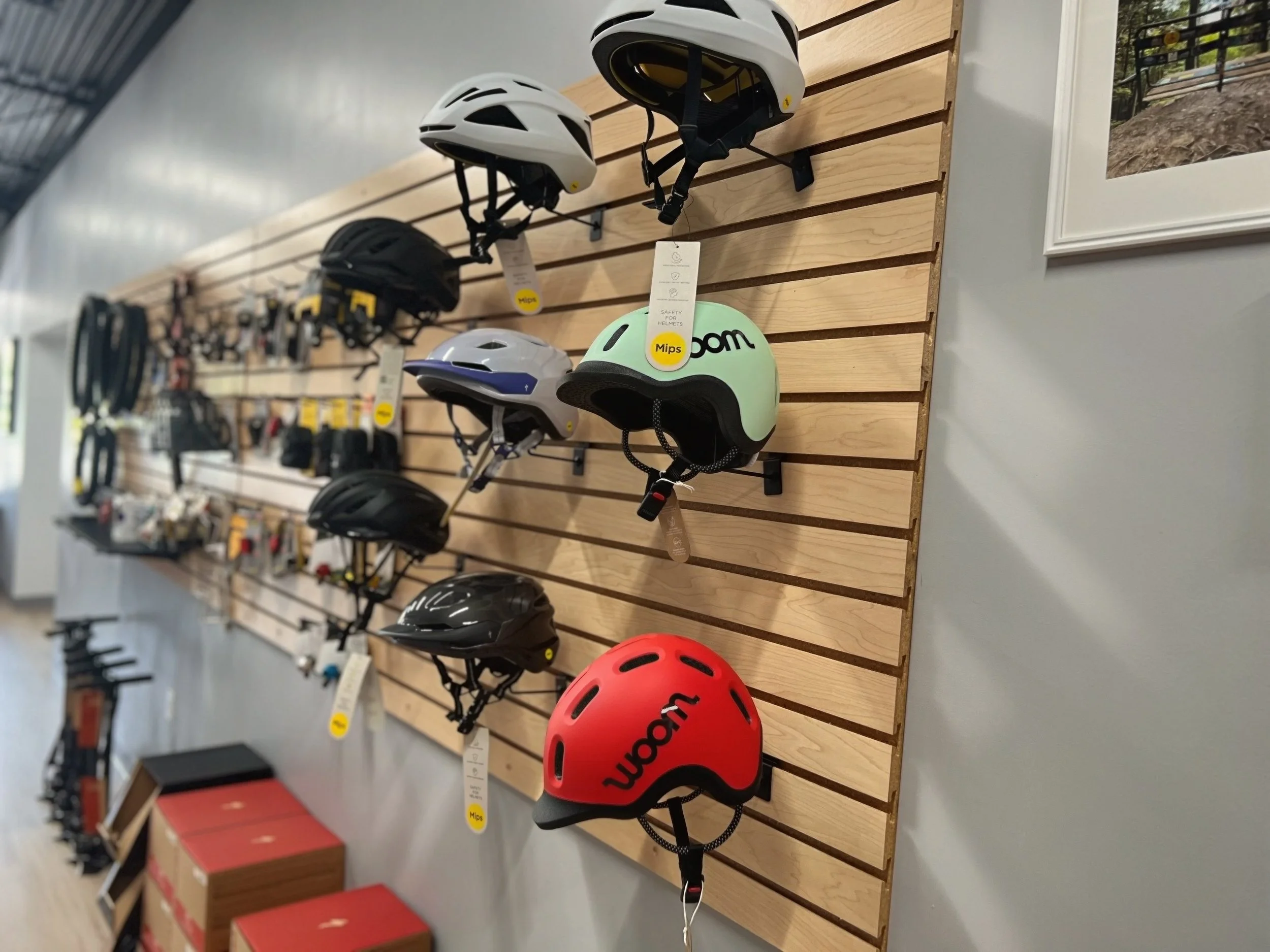 Bike Helmets