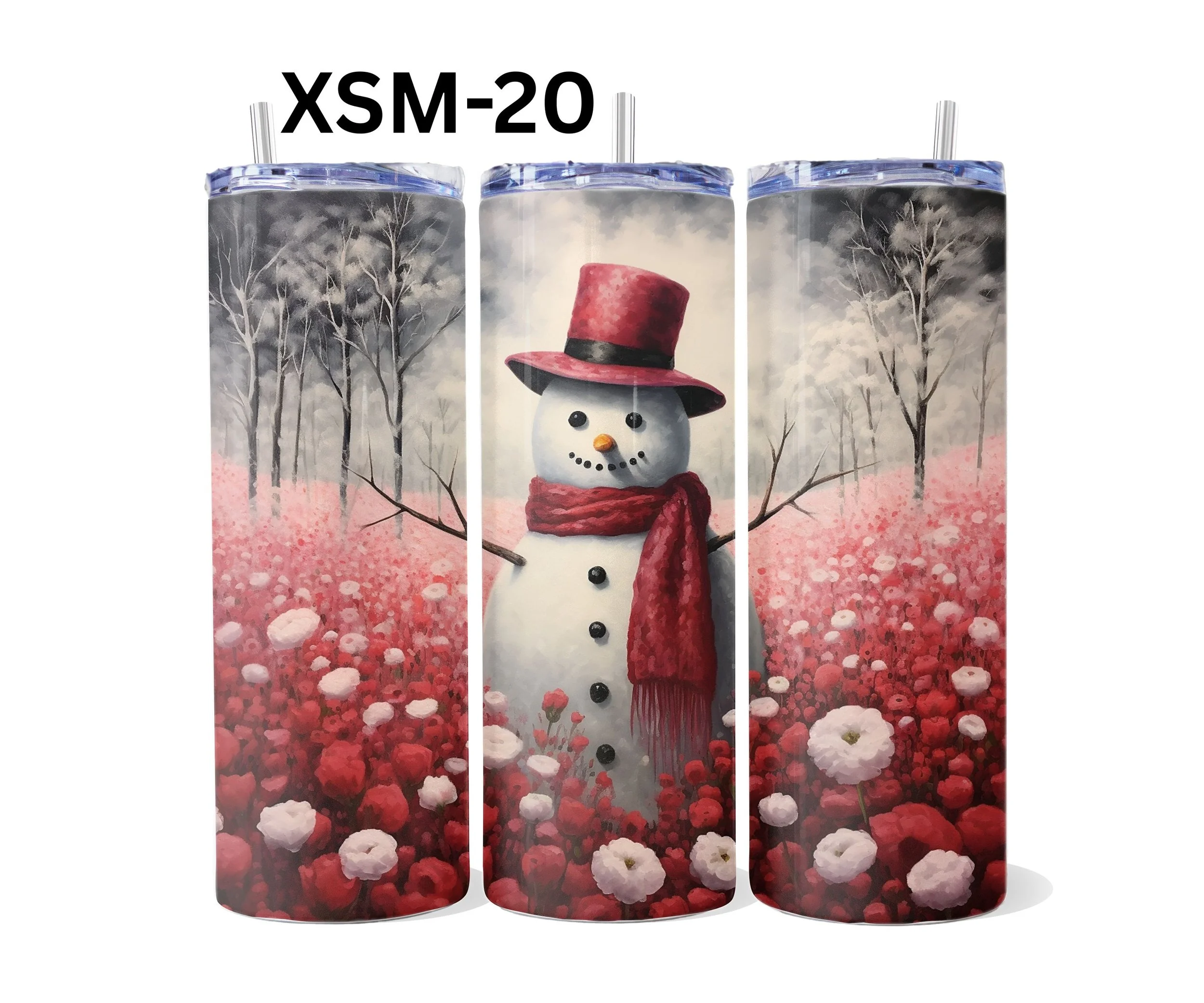 XSM-20.jpg