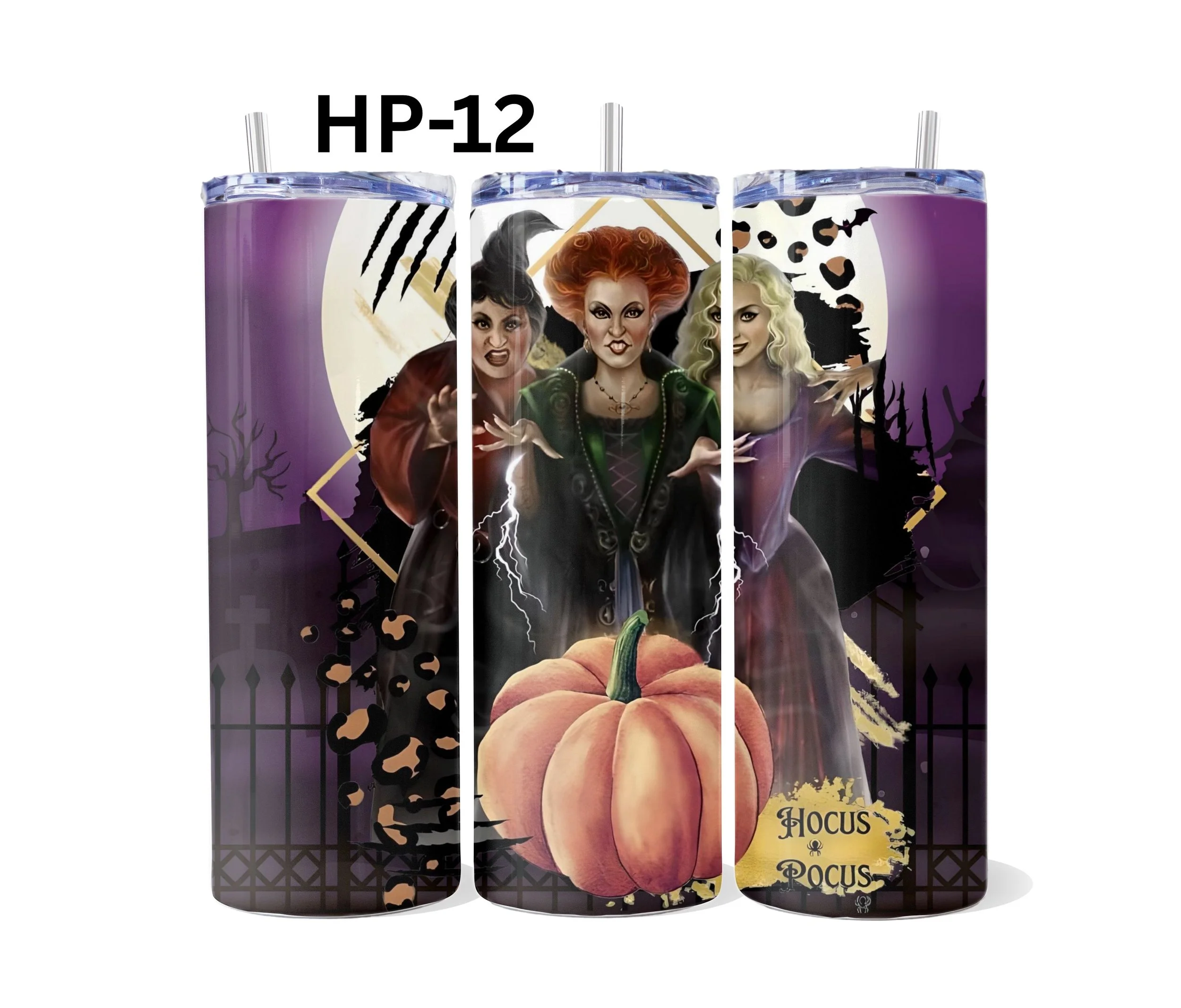 HP-12.jpg