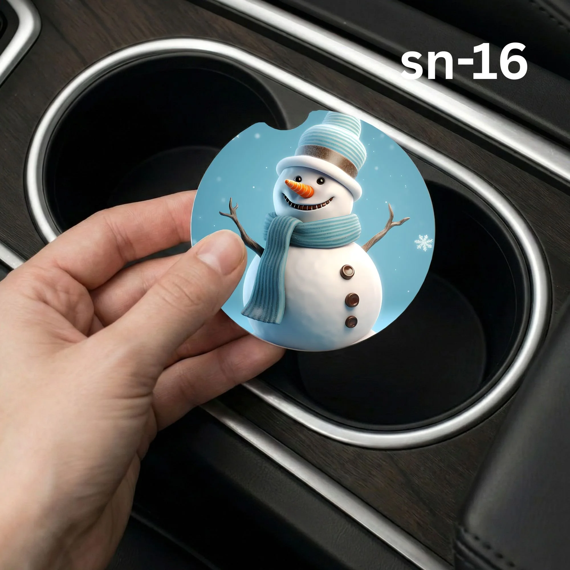 sn-16 Car Coaster.jpg