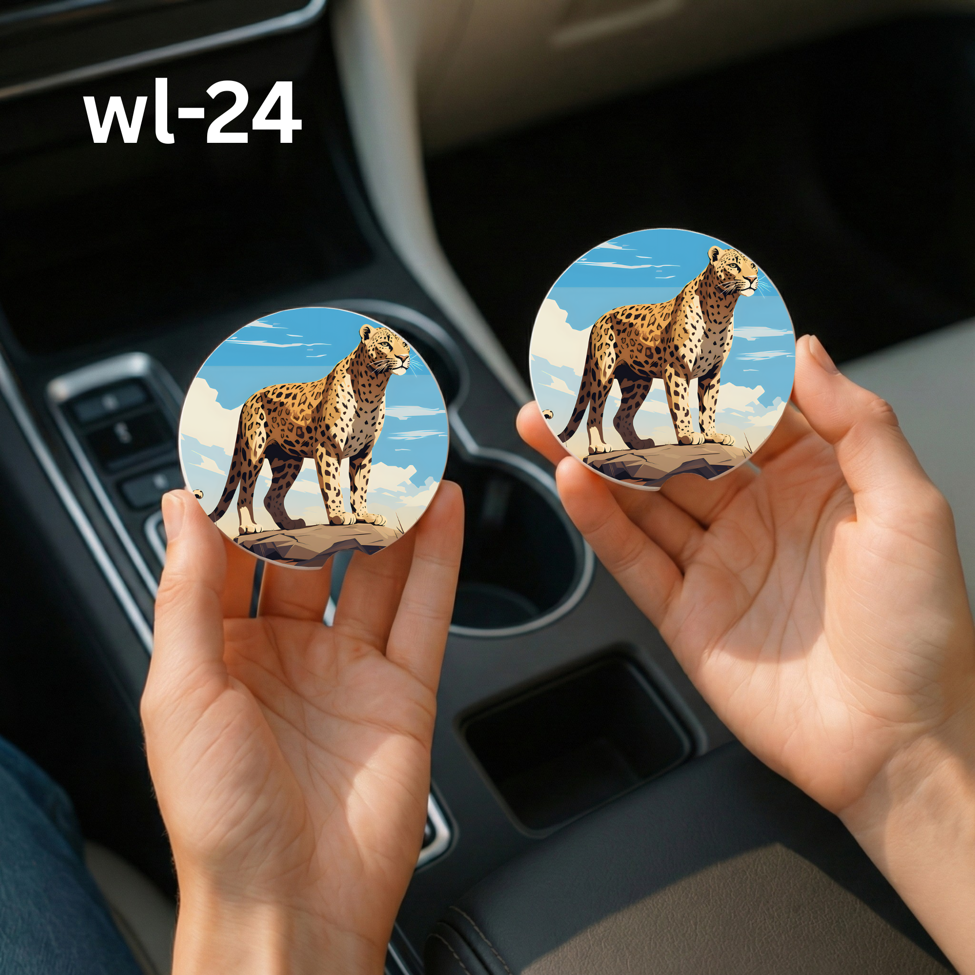 wl-24 Car Coaster.png