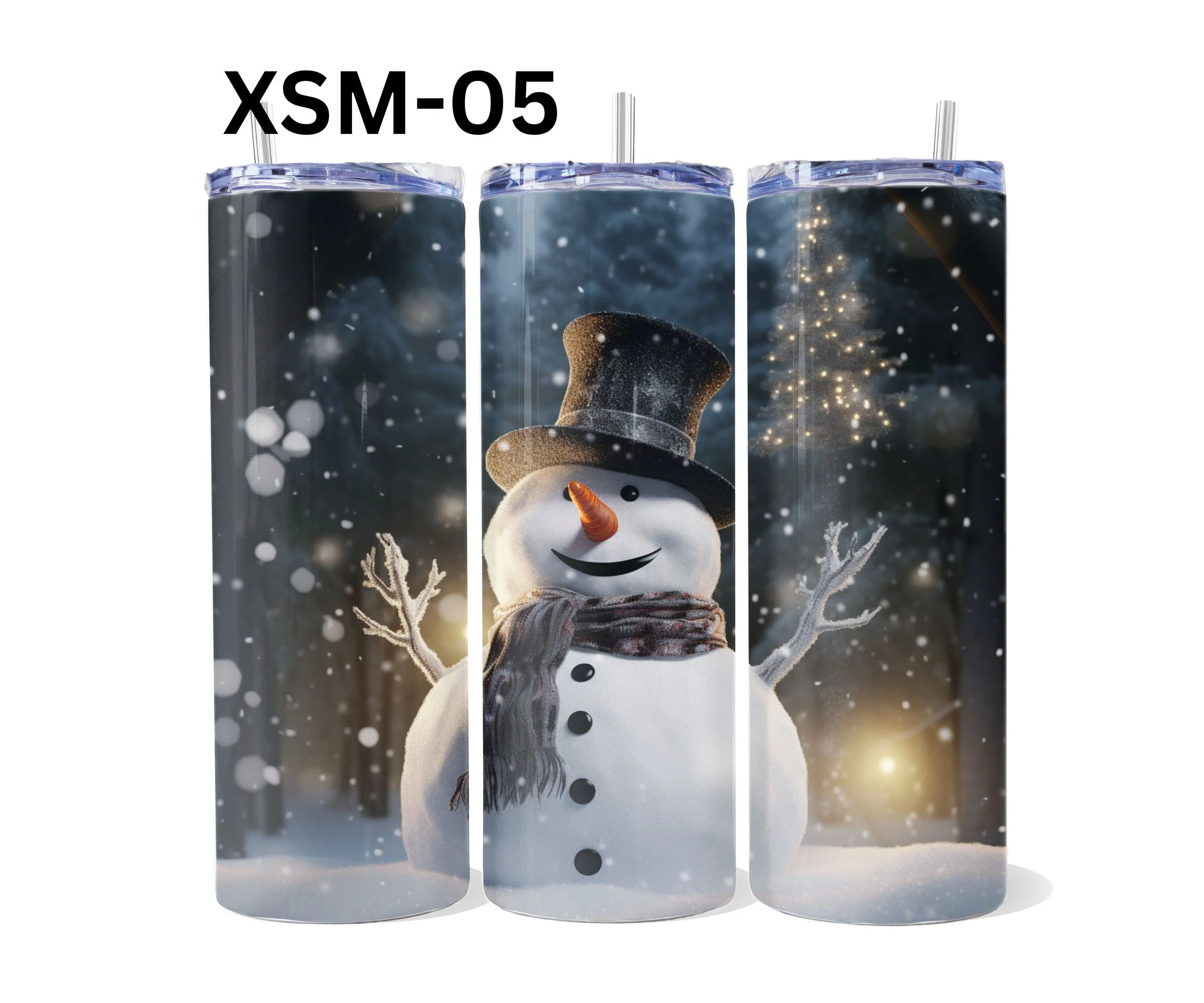 XSM-05.jpg