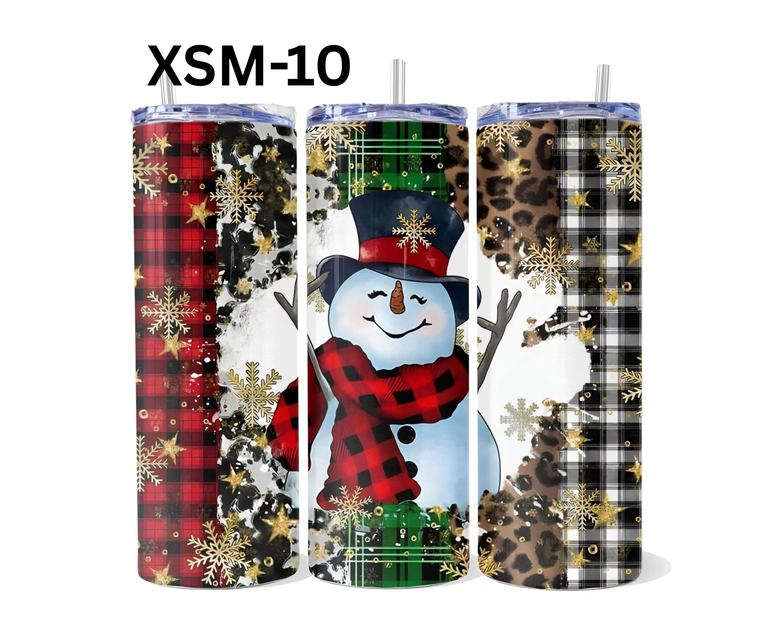 XSM-10.jpg