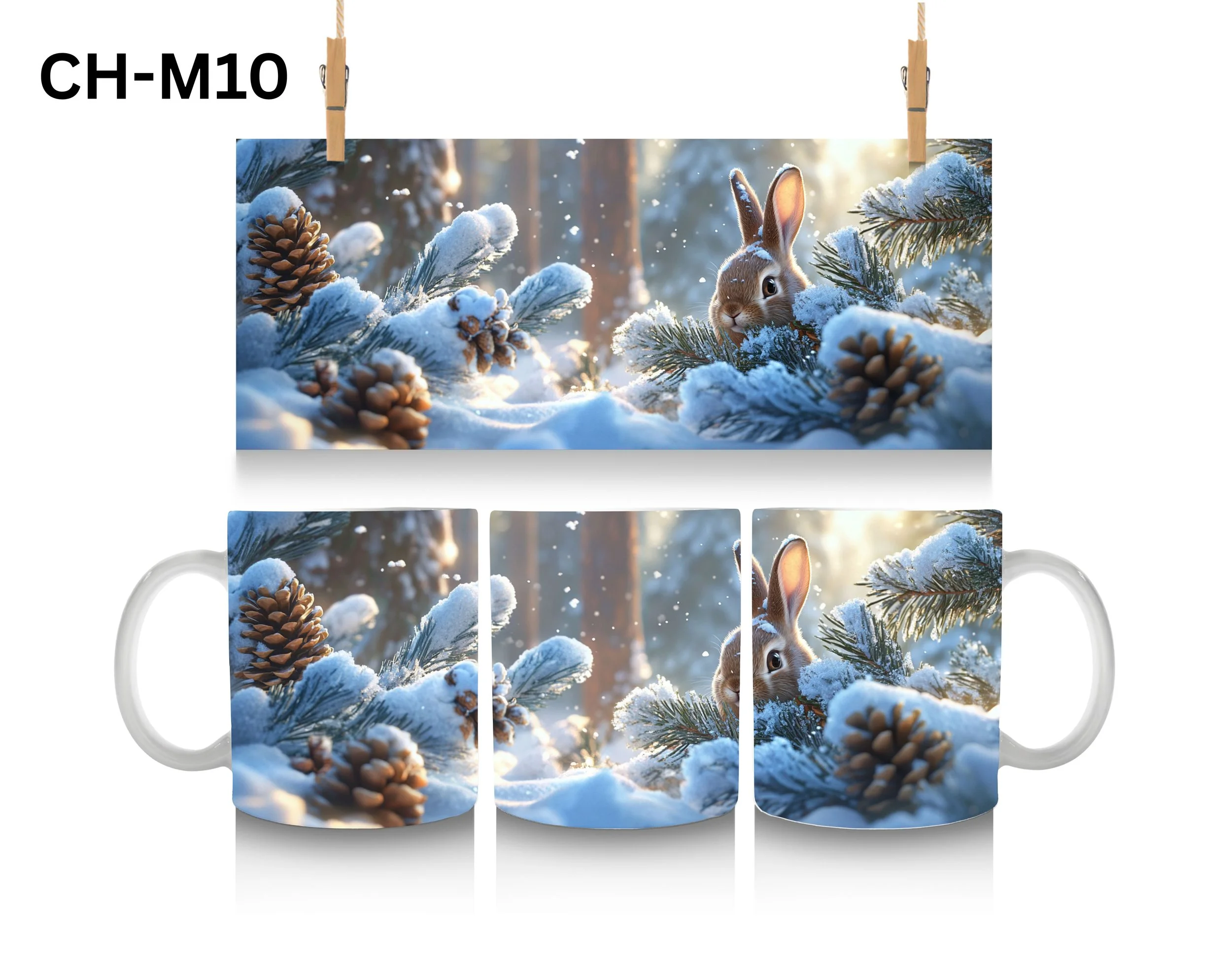 CH-M10.jpg