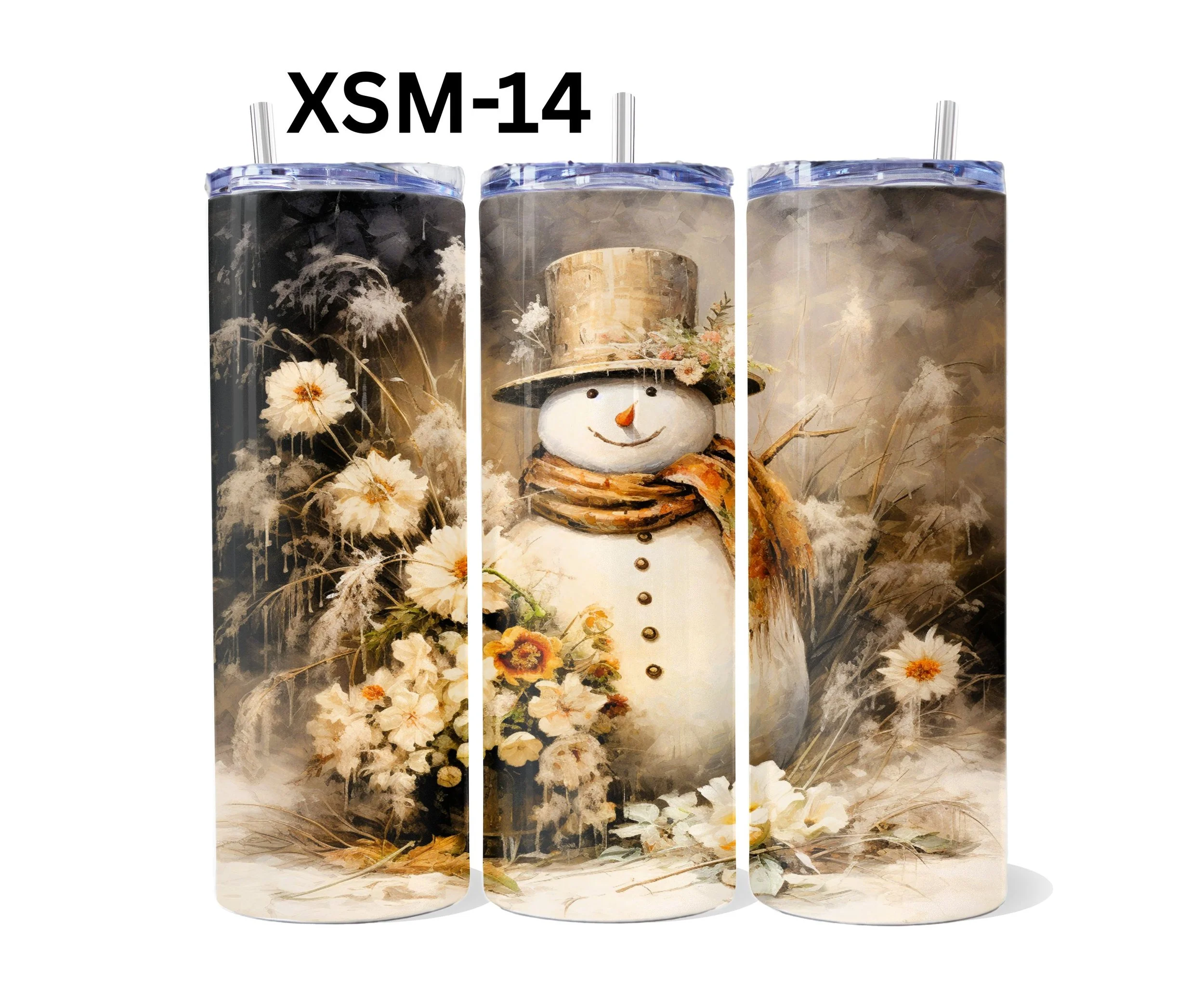 XSM-14.jpg