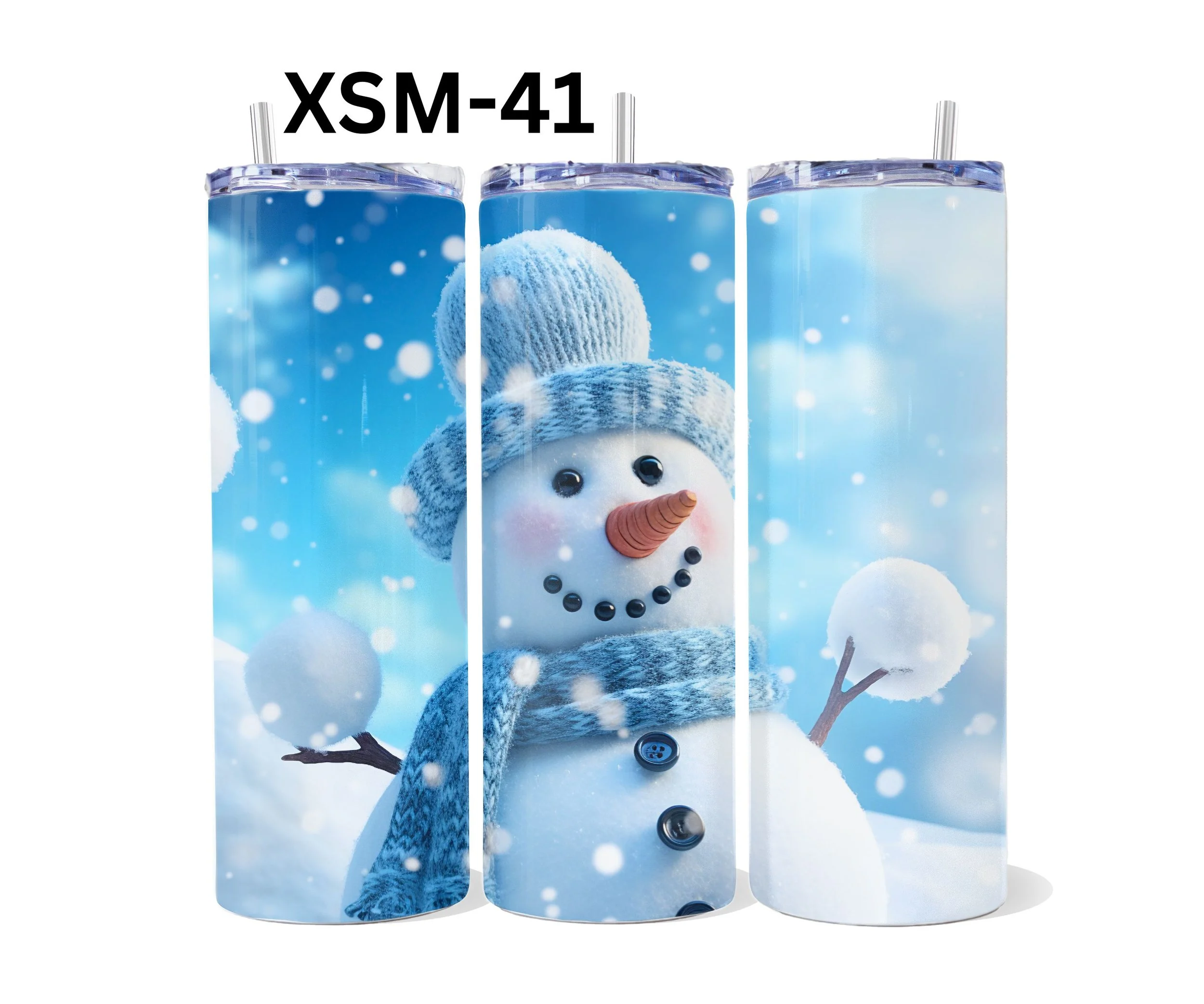 XSM-41.jpg