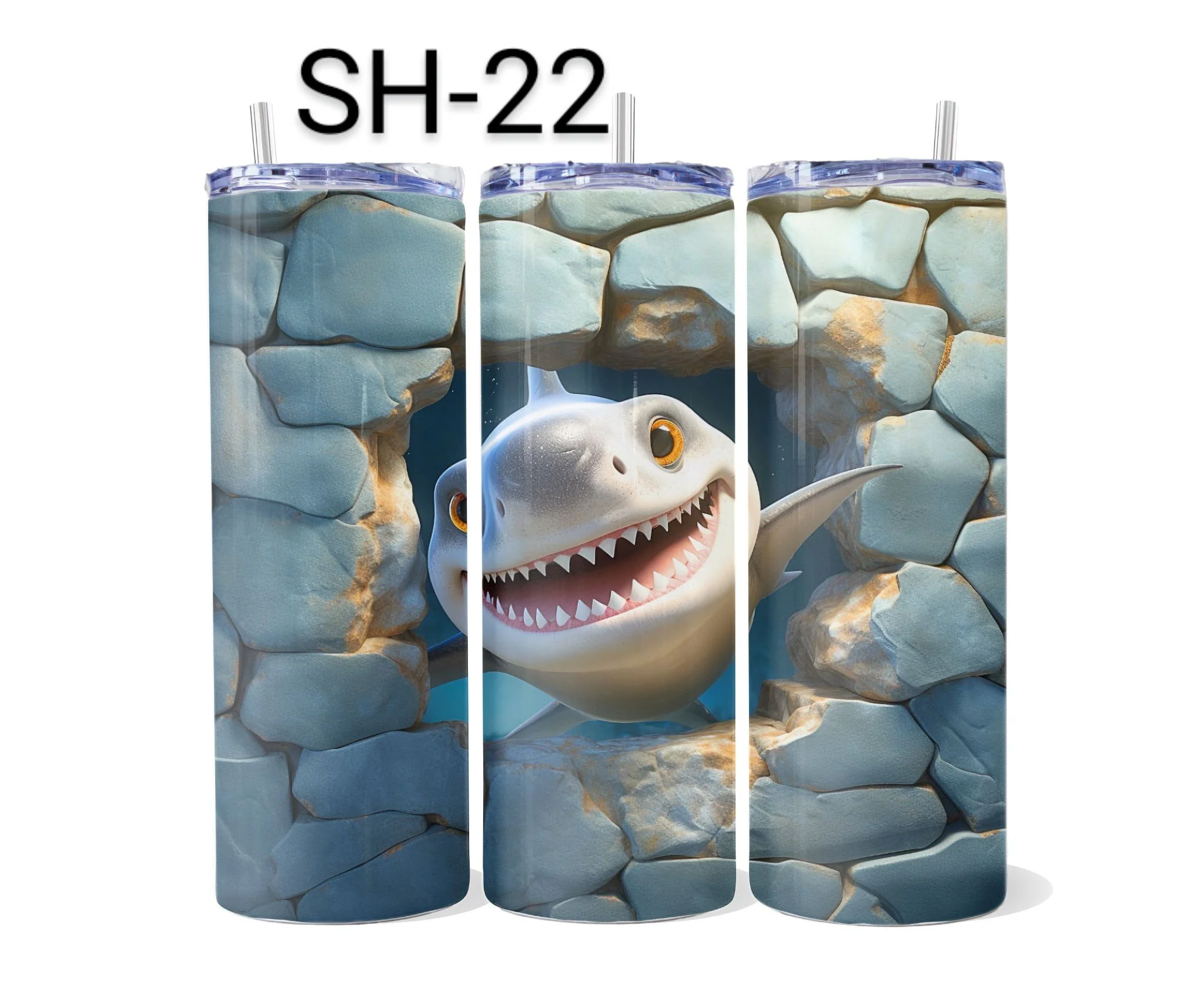 SH-22.jpeg