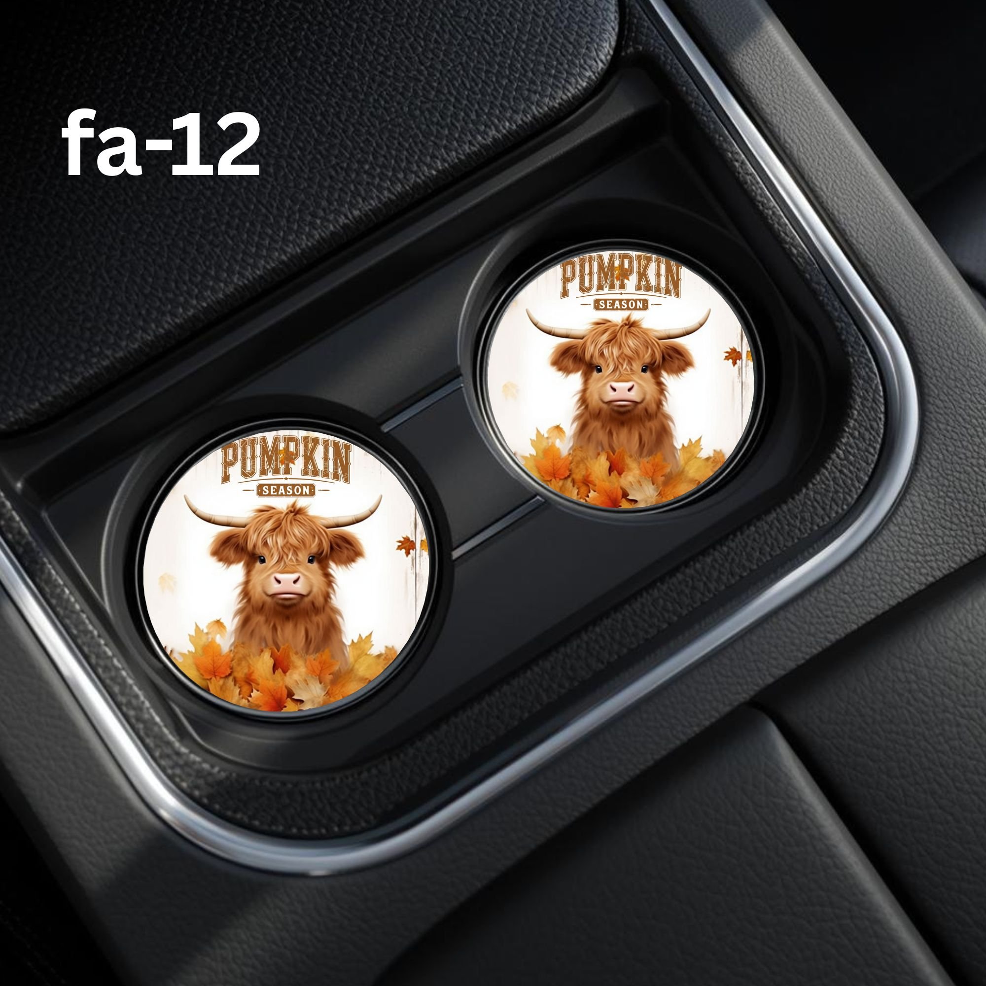 fa-12 Car Coaster.jpg