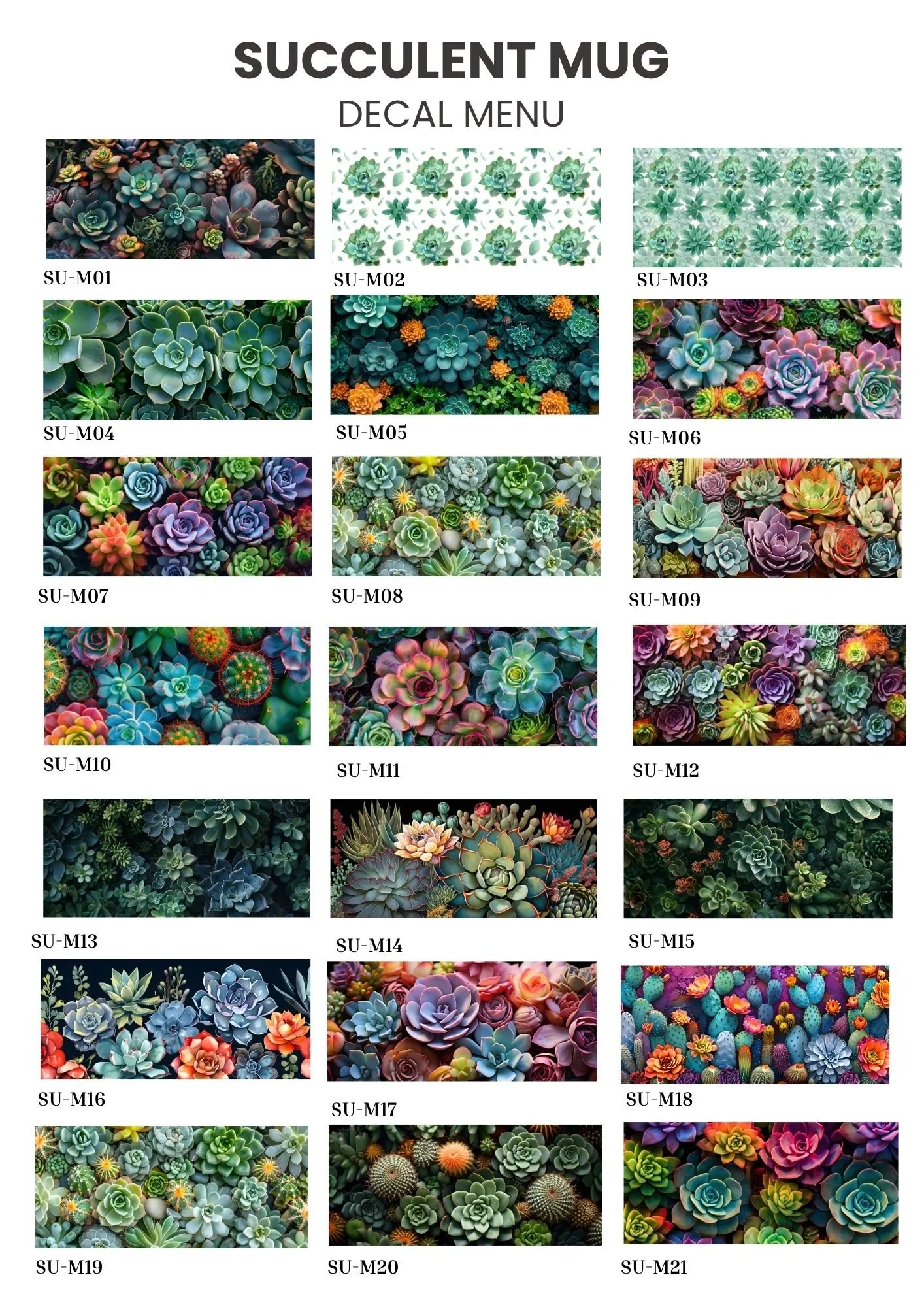 Succulant Mug 1.jpg