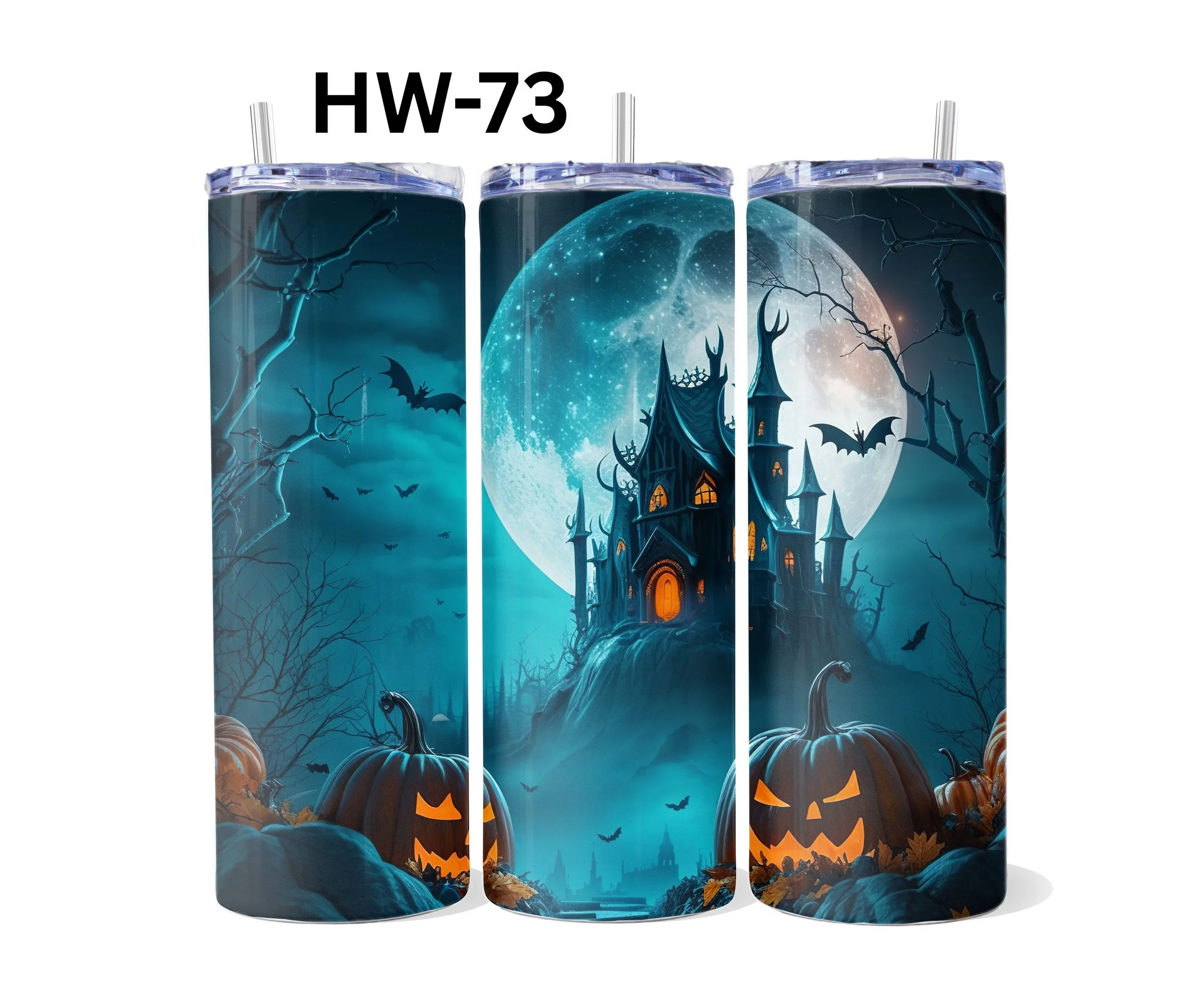 HW-73.jpg