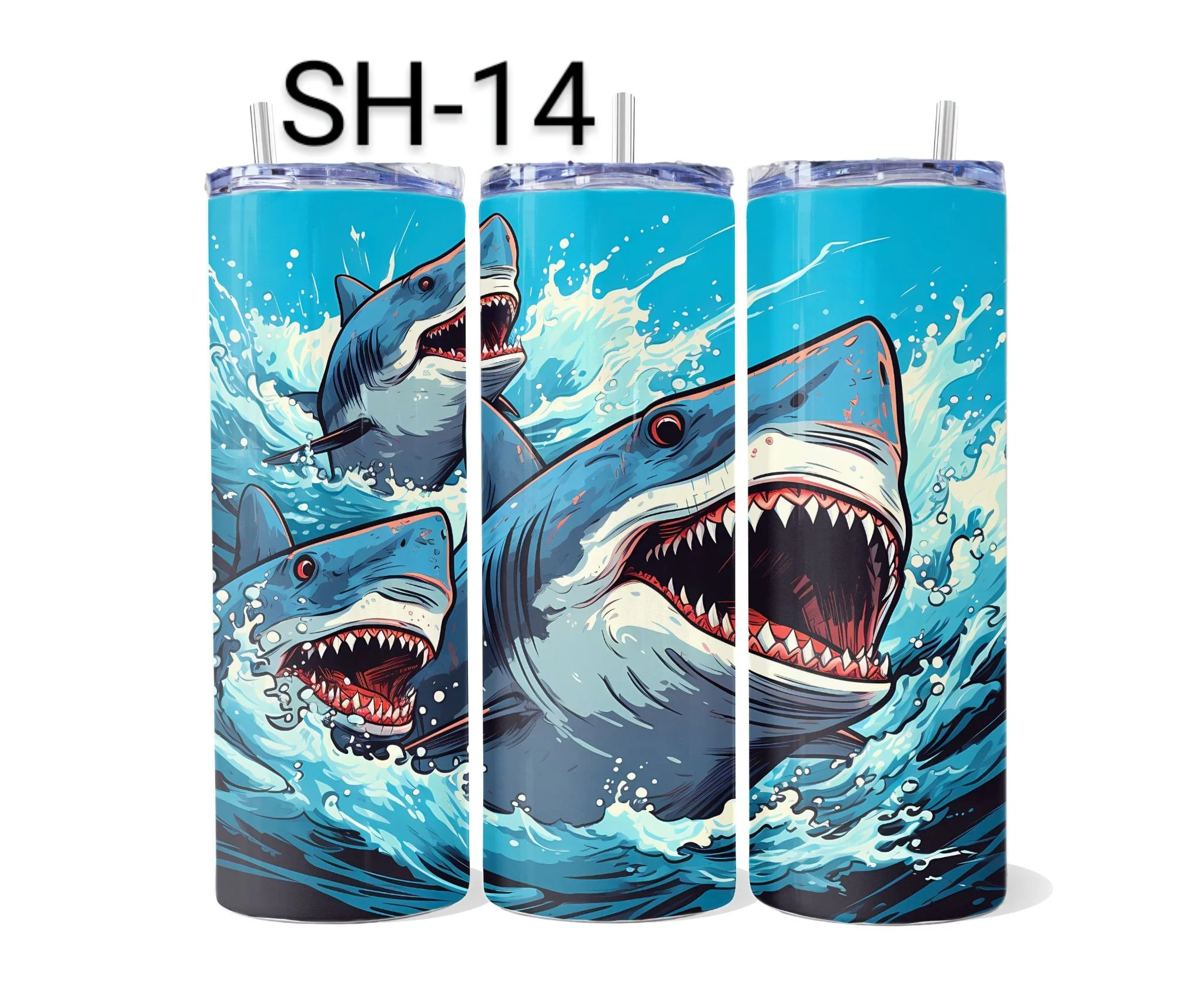 SH-14.jpeg