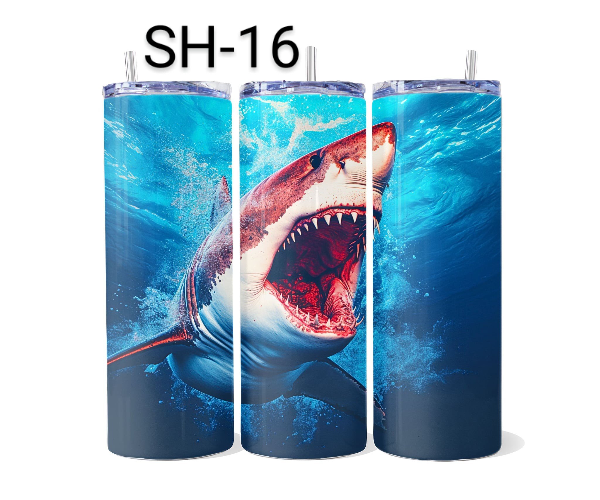 SH-16.jpeg