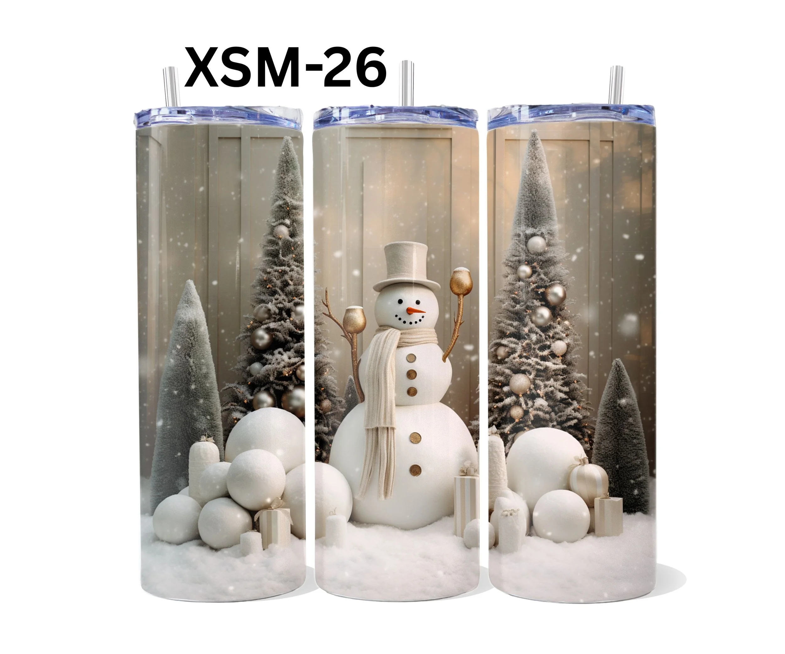 XSM-26.jpg