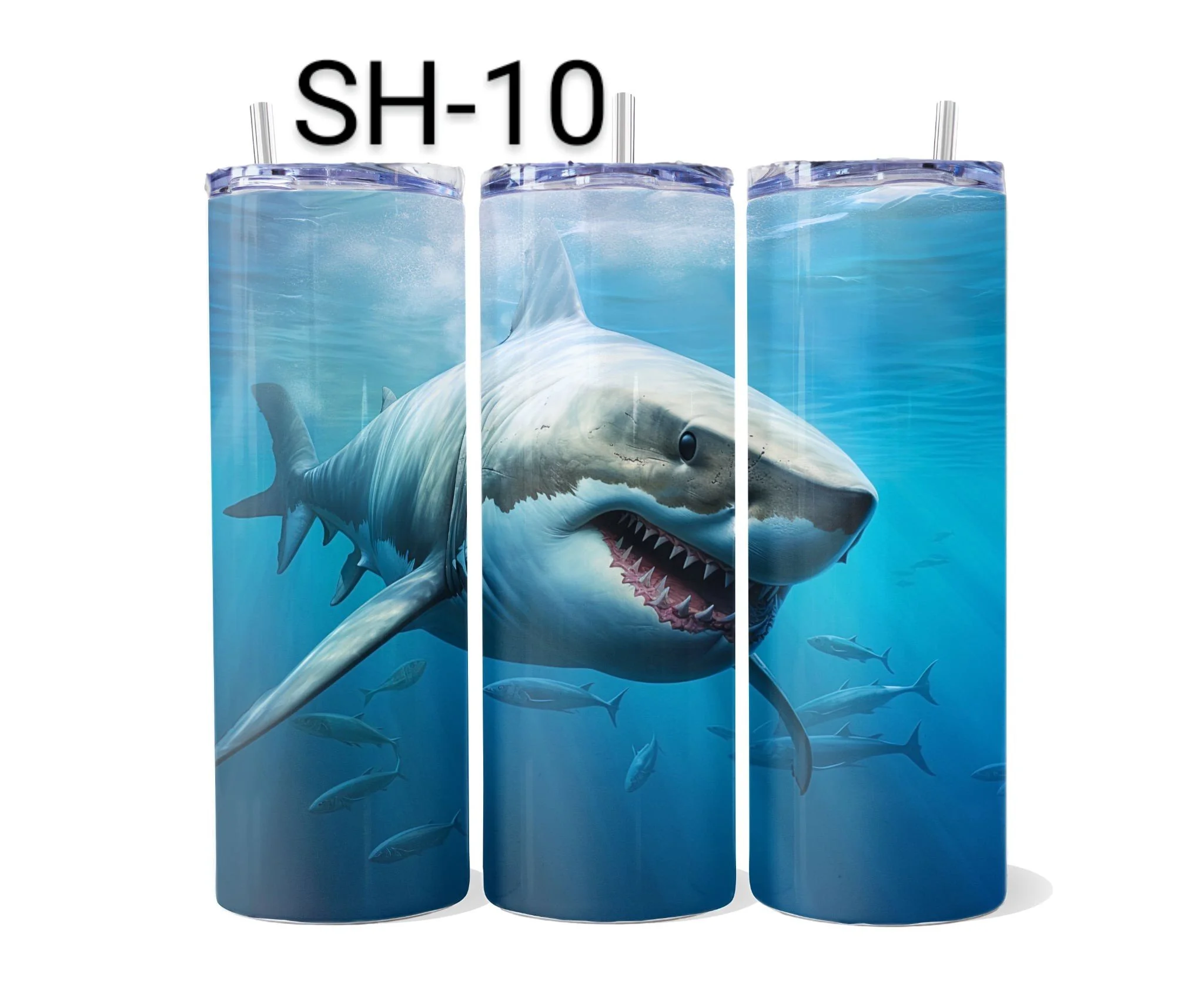 SH-10.jpeg