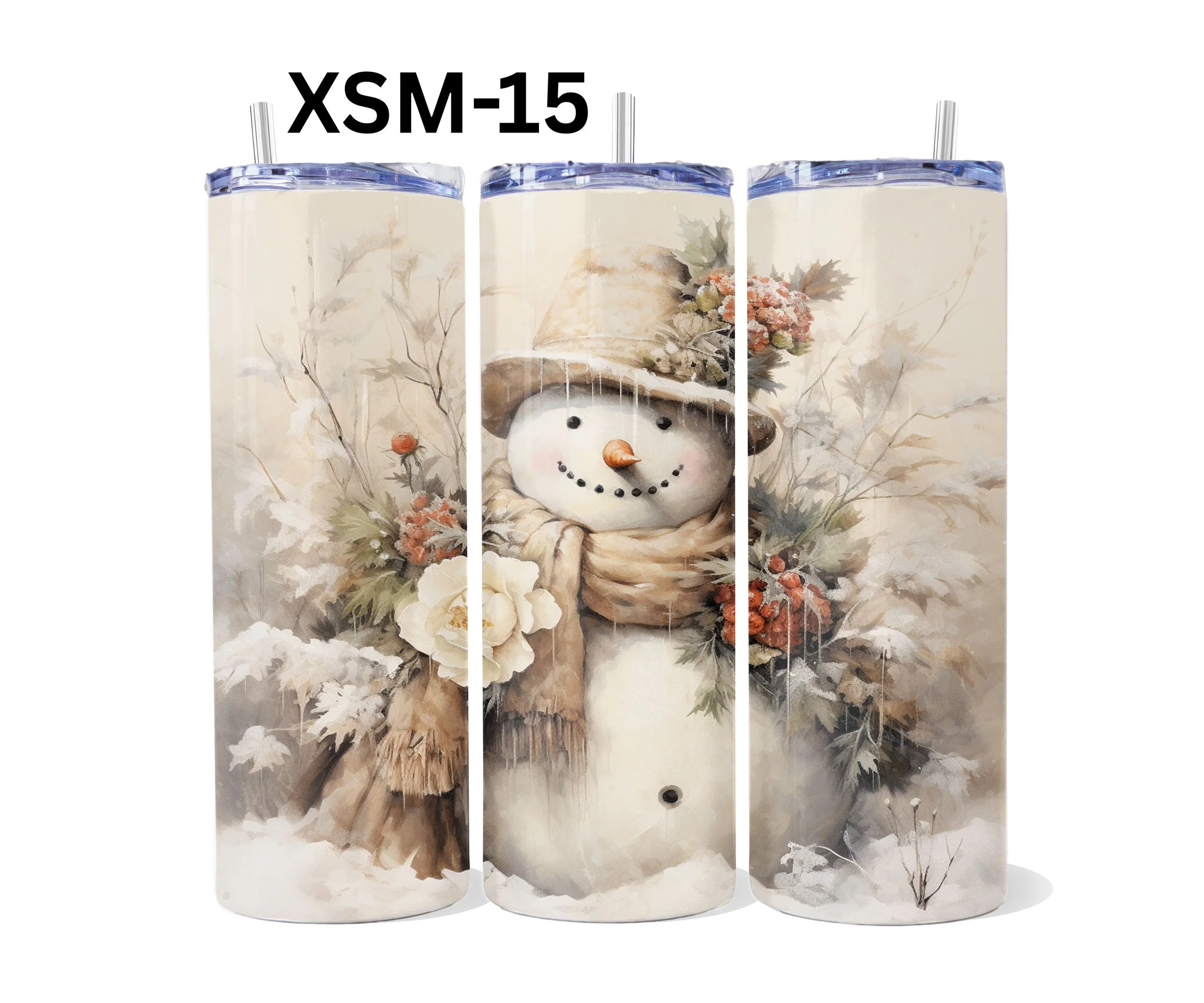 XSM-15.jpg