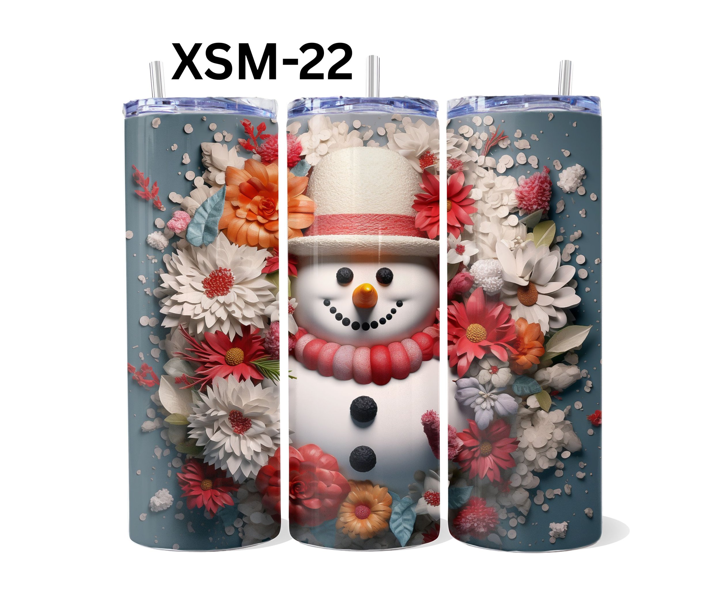 XSM-22.jpg